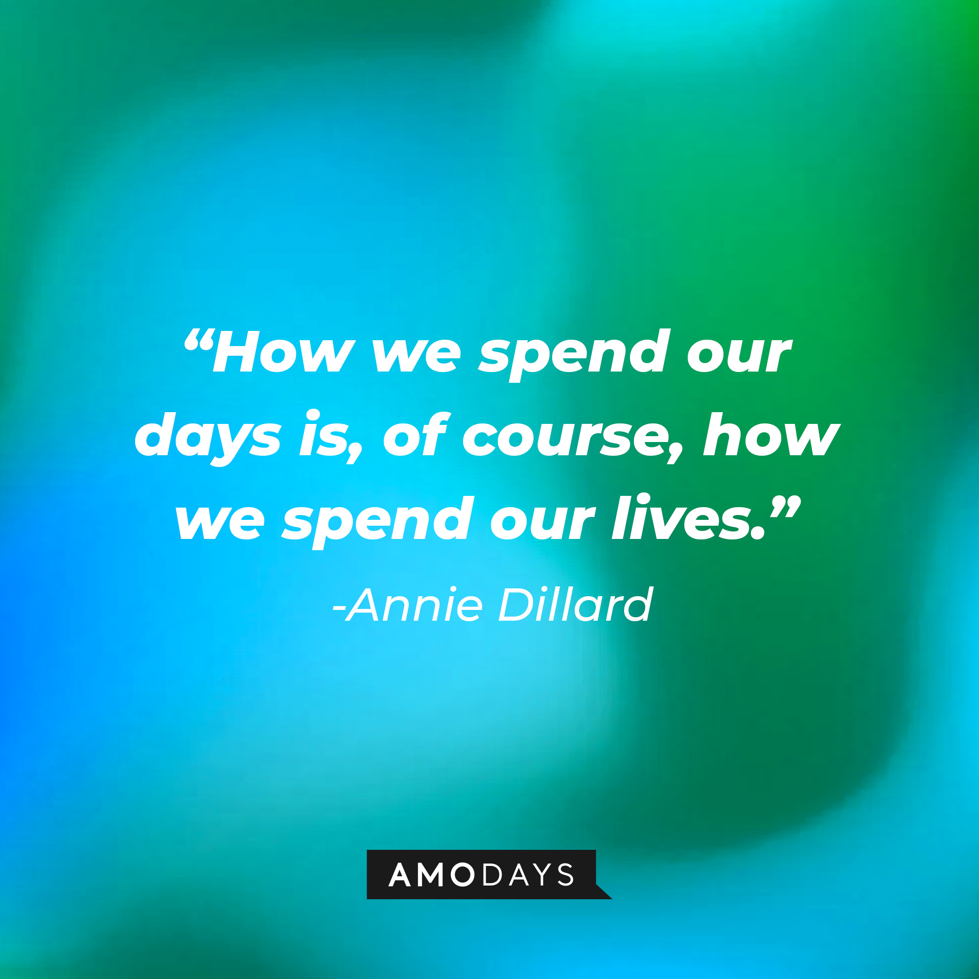 Annie Dillard’s quote: "How we spend our days is, of course, how we spend our lives." | Image: Amodays