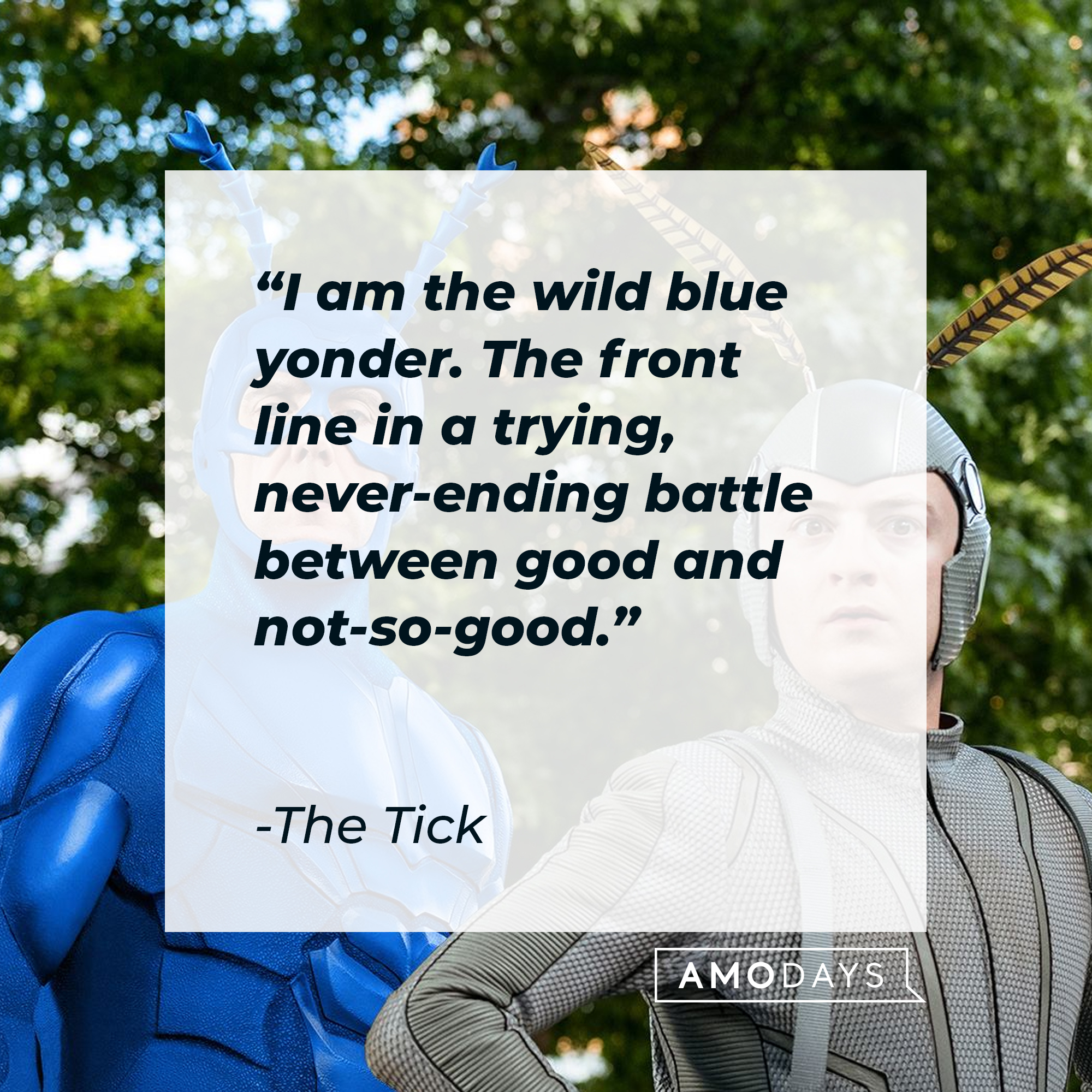 The Tick's quote: "I am the wild blue yonder. The front line in a trying, never-ending battle between good and not-so-good." | Source: Facebook.com/TheTick