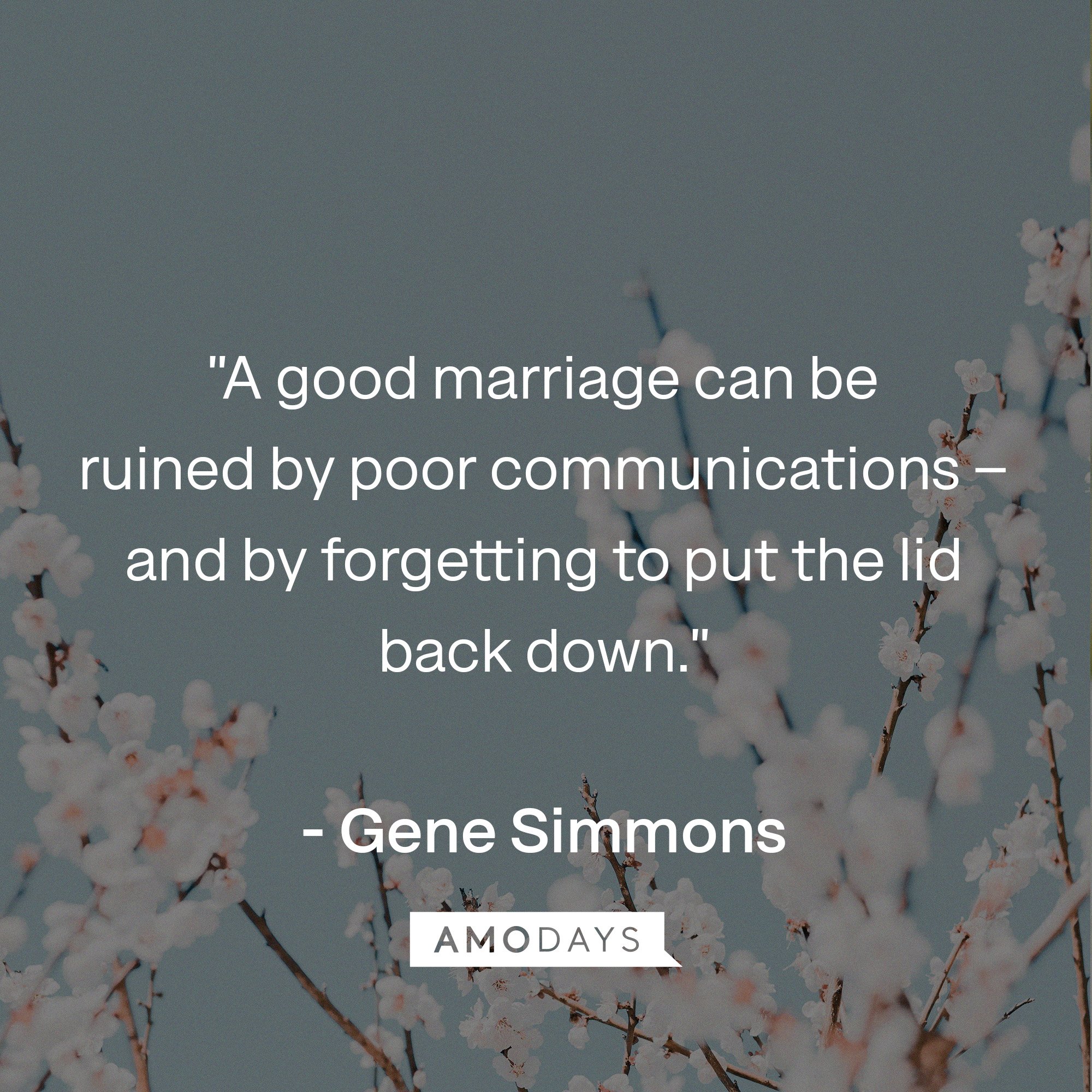 Gene Simmons' quotes: "A good marriage can be ruined by poor communications – and by forgetting to put the lid back down."   | Image: AmoDays