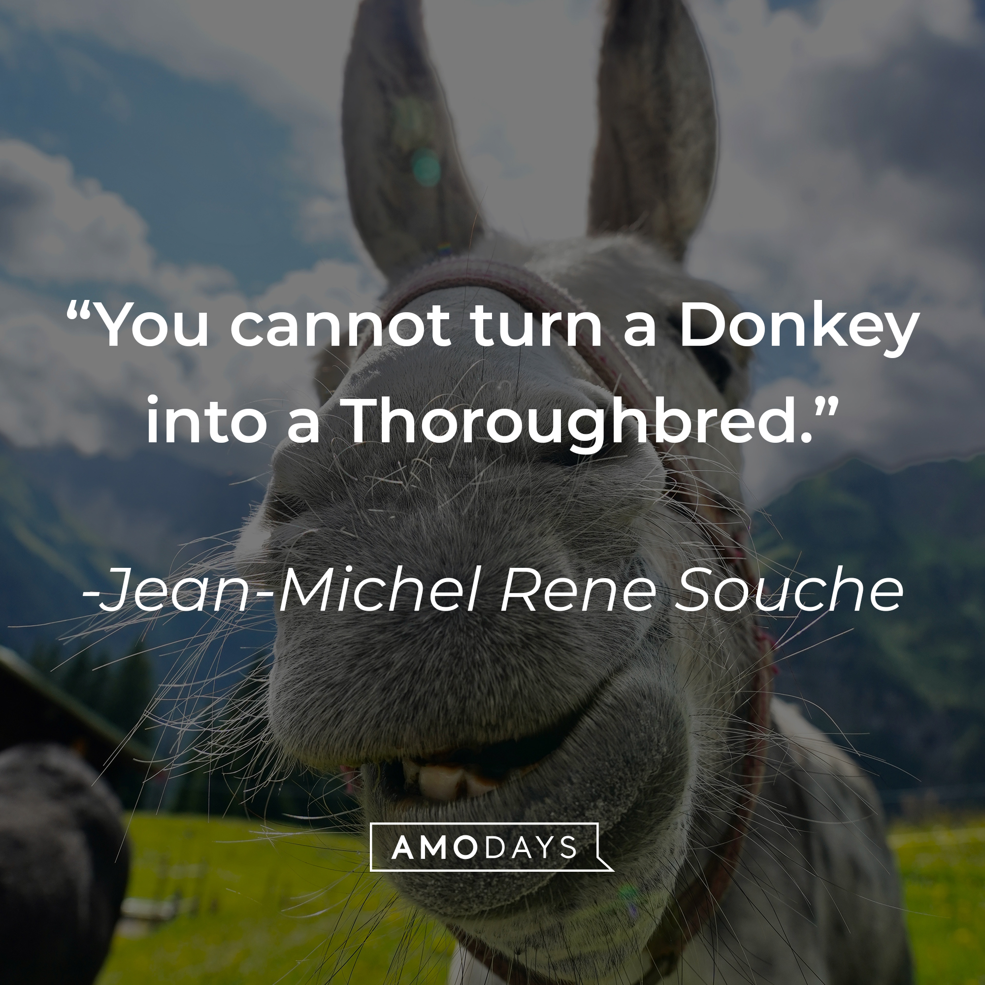 Jean-Michel Rene Souche's quote: "You cannot turn a Donkey into a Thoroughbred." | Source: Unsplash