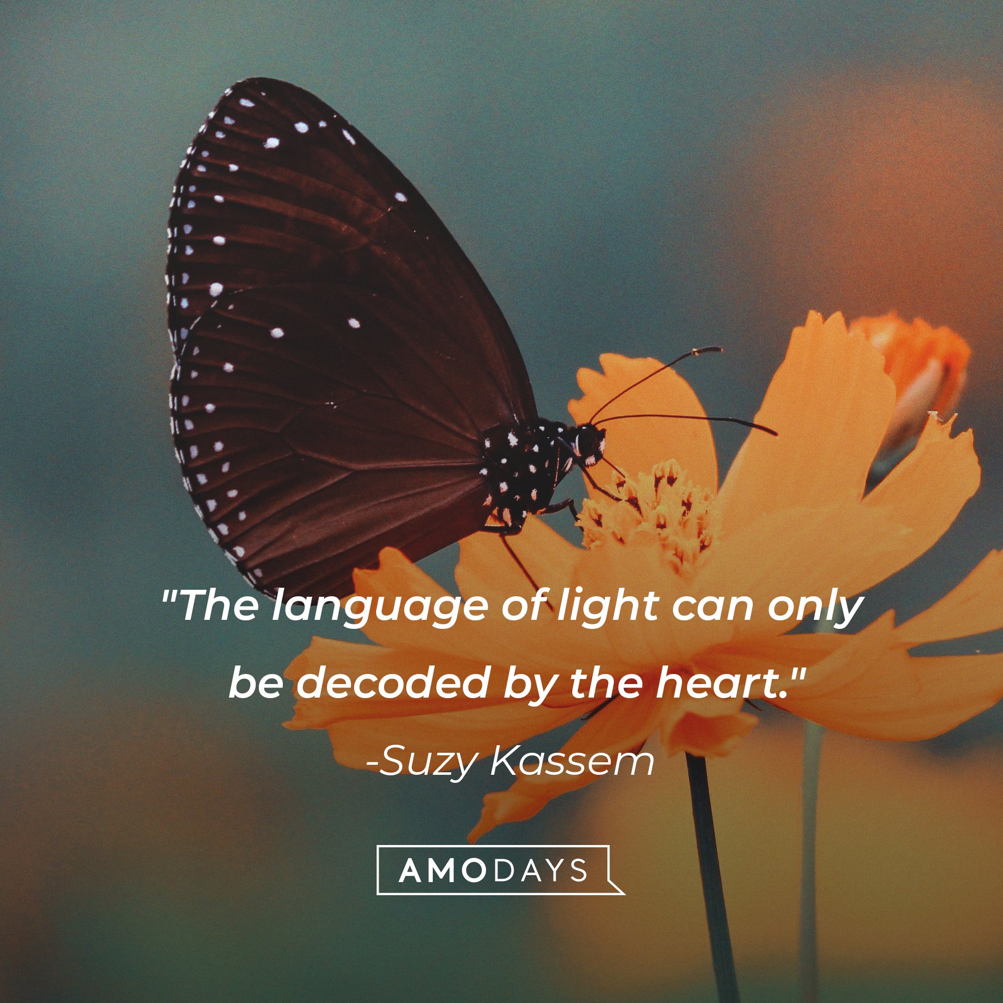 Suzy Kassem’s quote: "The language of light can only be decoded by the heart." | Image: AmoDays