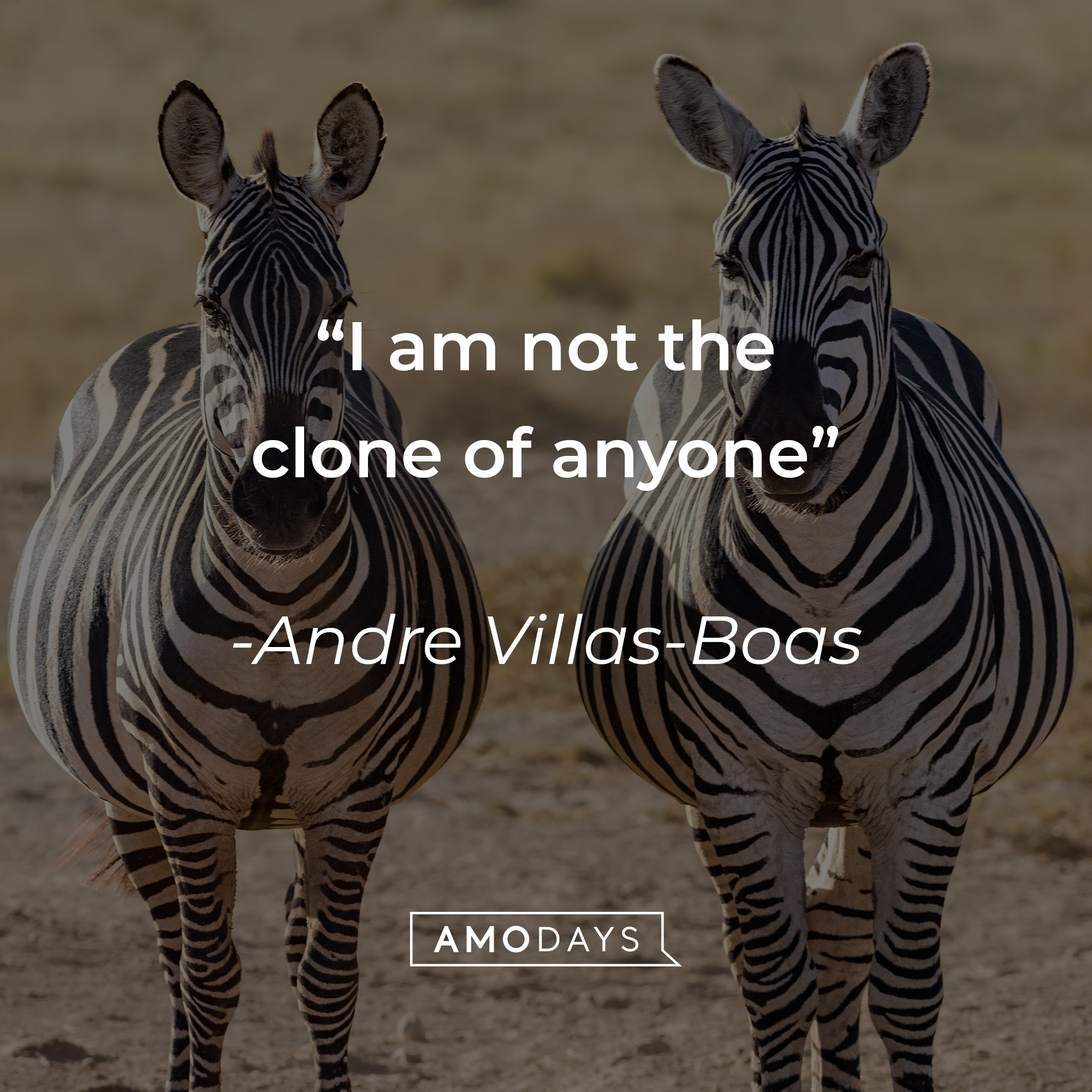 Andre Villas-Boas's quote, "I am not the clone of anyone" | Image: Unsplash.com
