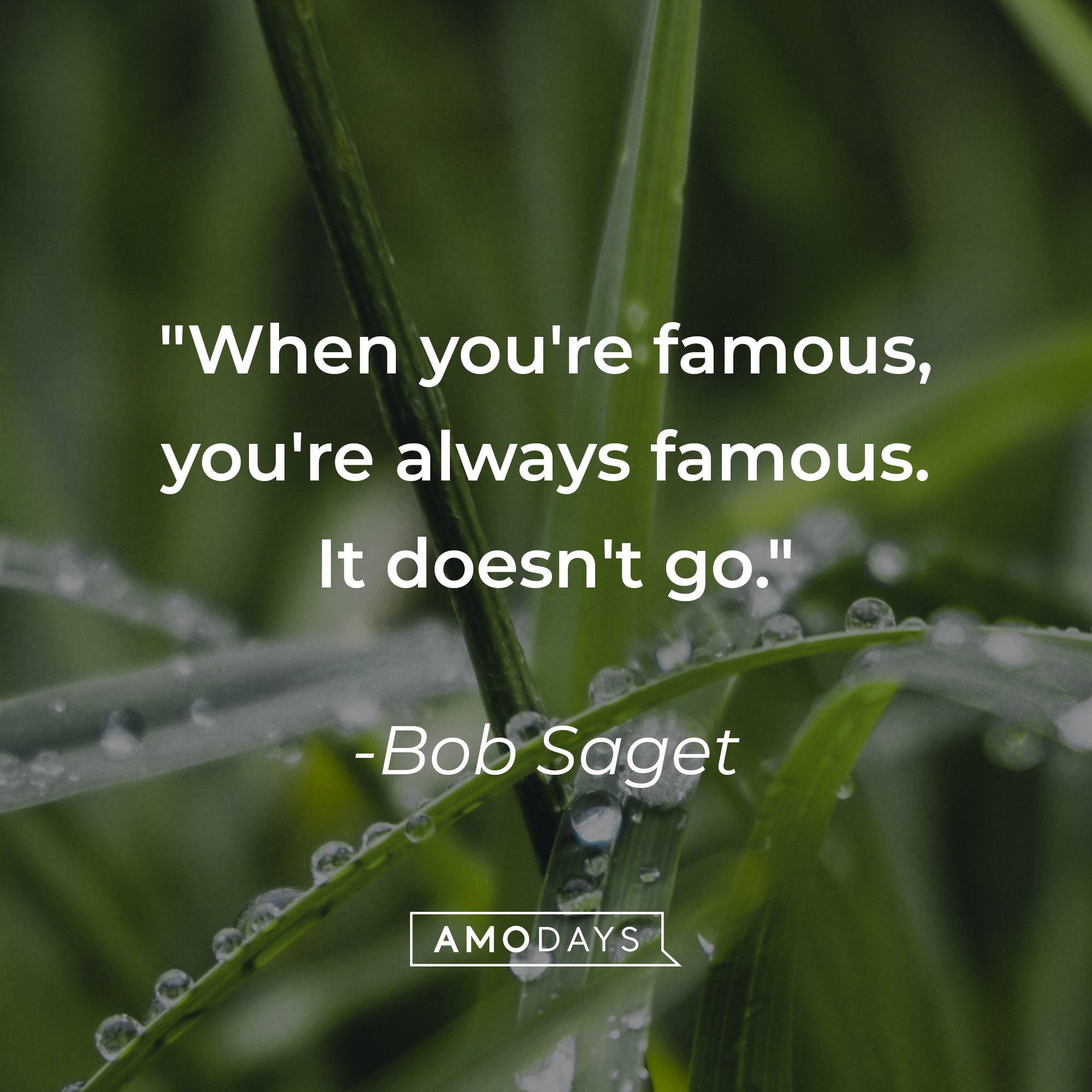  Bob Saget’s quote: "When you're famous, you're always famous. It doesn't go."  | Image: AmoDays