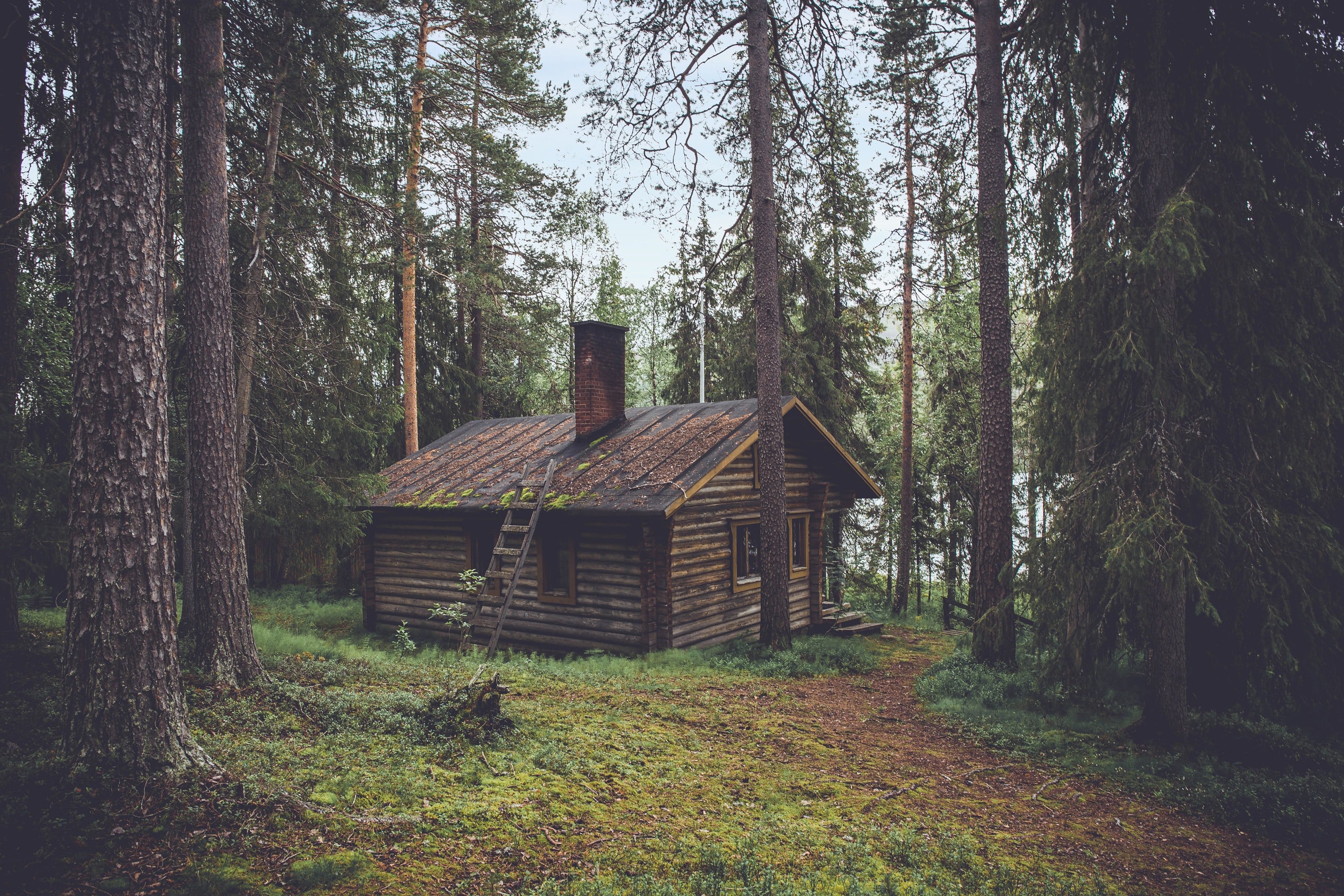 Mike followed the boy's footsteps & reached an old cabin in the woods. | Source: Unsplash