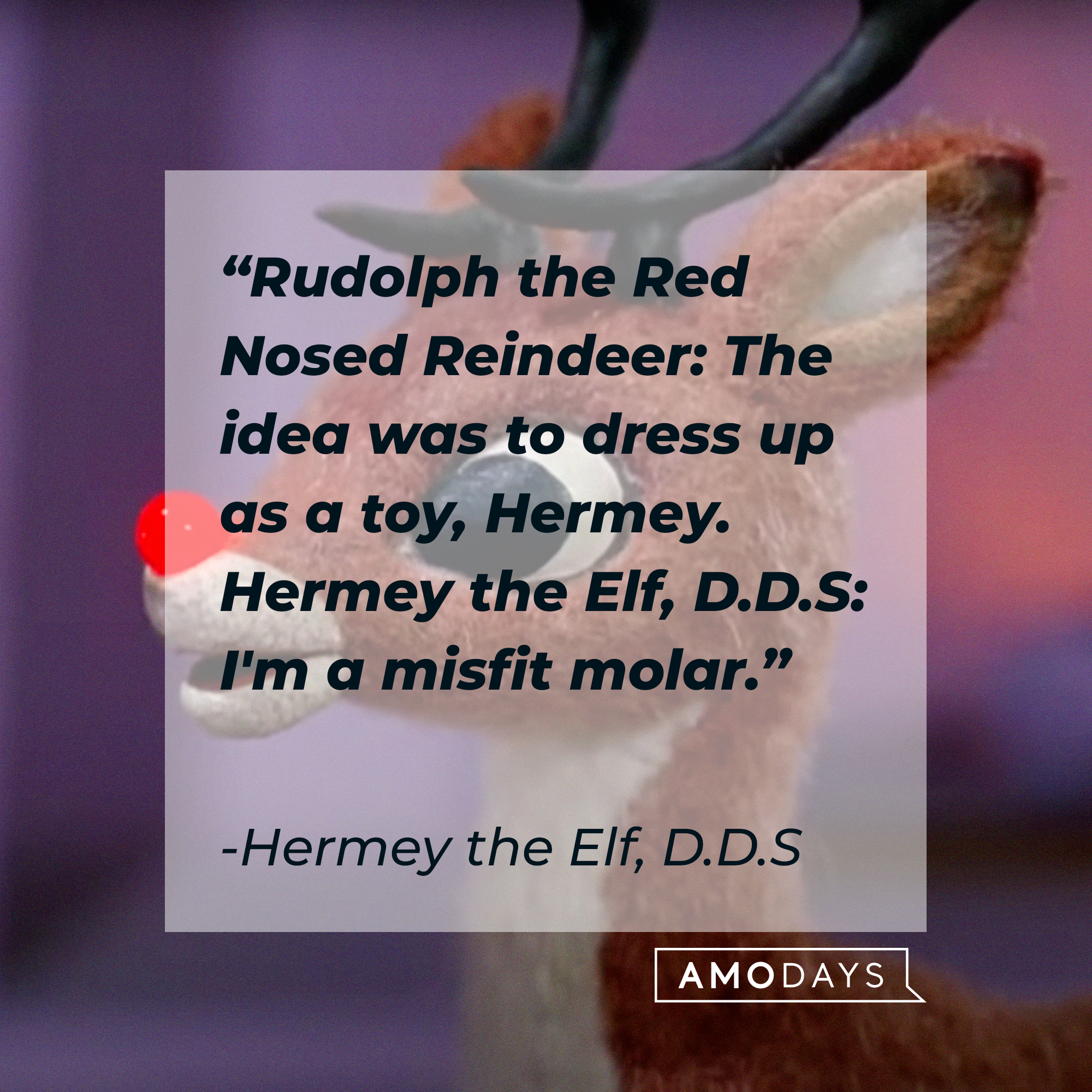 Hermey the Elf, D.D.S's quote: “Rudolph the Red Nosed Reindeer: The idea was to dress up as a toy, Hermey. Hermey the Elf, D.D.S: I'm a misfit molar.” | Source: facebook.com/Rudolph the Red-Nosed Reindeer