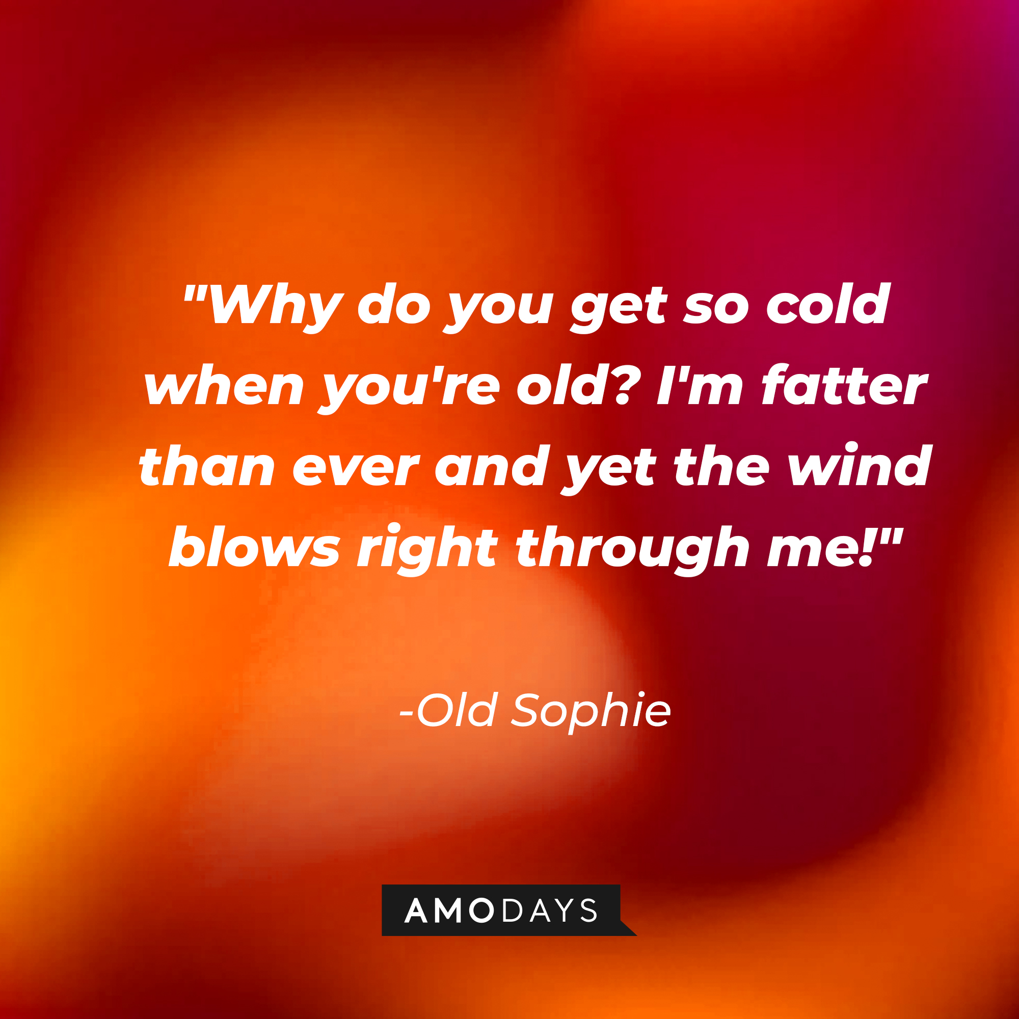 Old Sophie's quote: "Why do you get so cold when you're old? I'm fatter than ever and yet the wind blows right through me!" | Source: Amodays