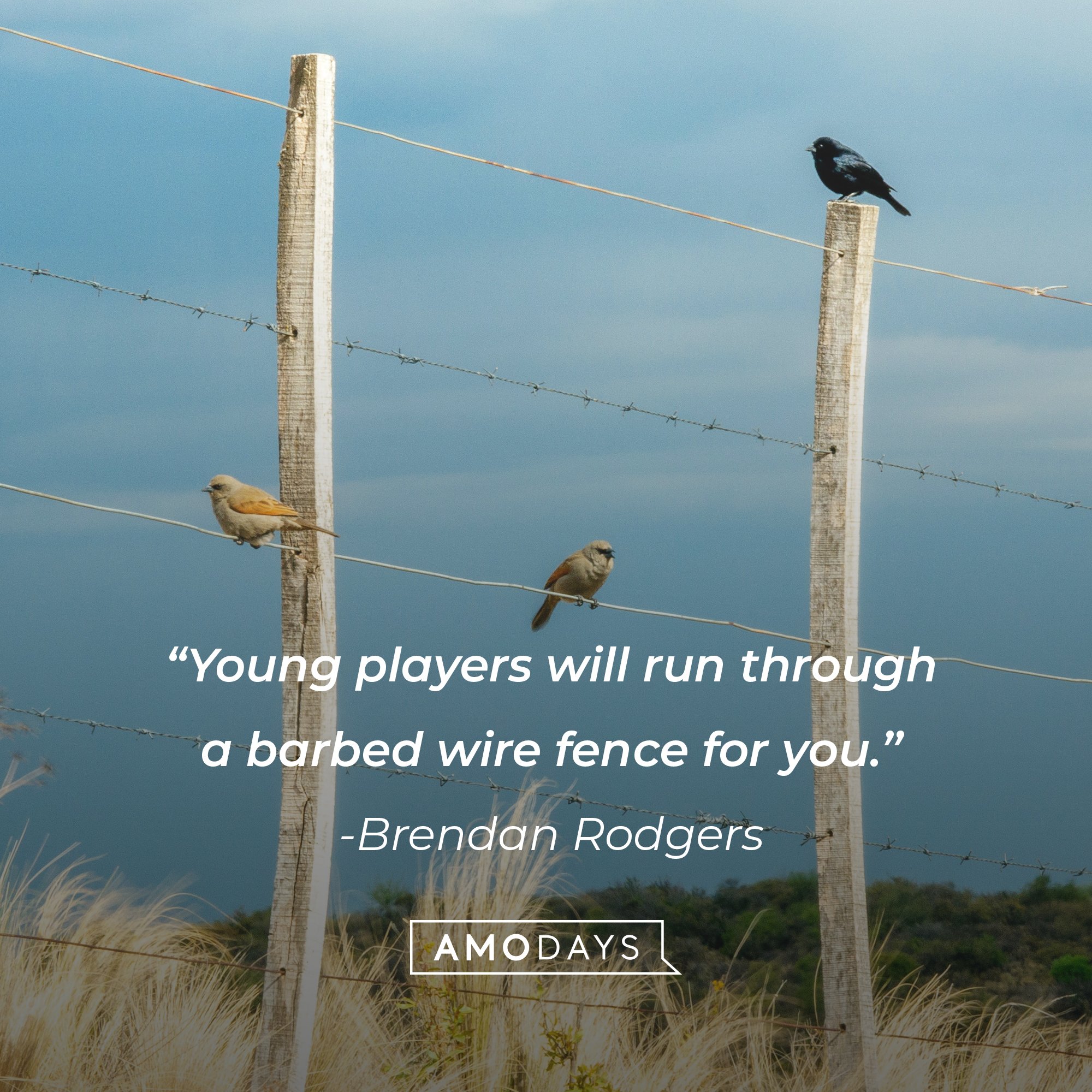 Brendan Rodgers's quote: “Young players will run through a barbed wire fence for you.” | Image: AmoDays