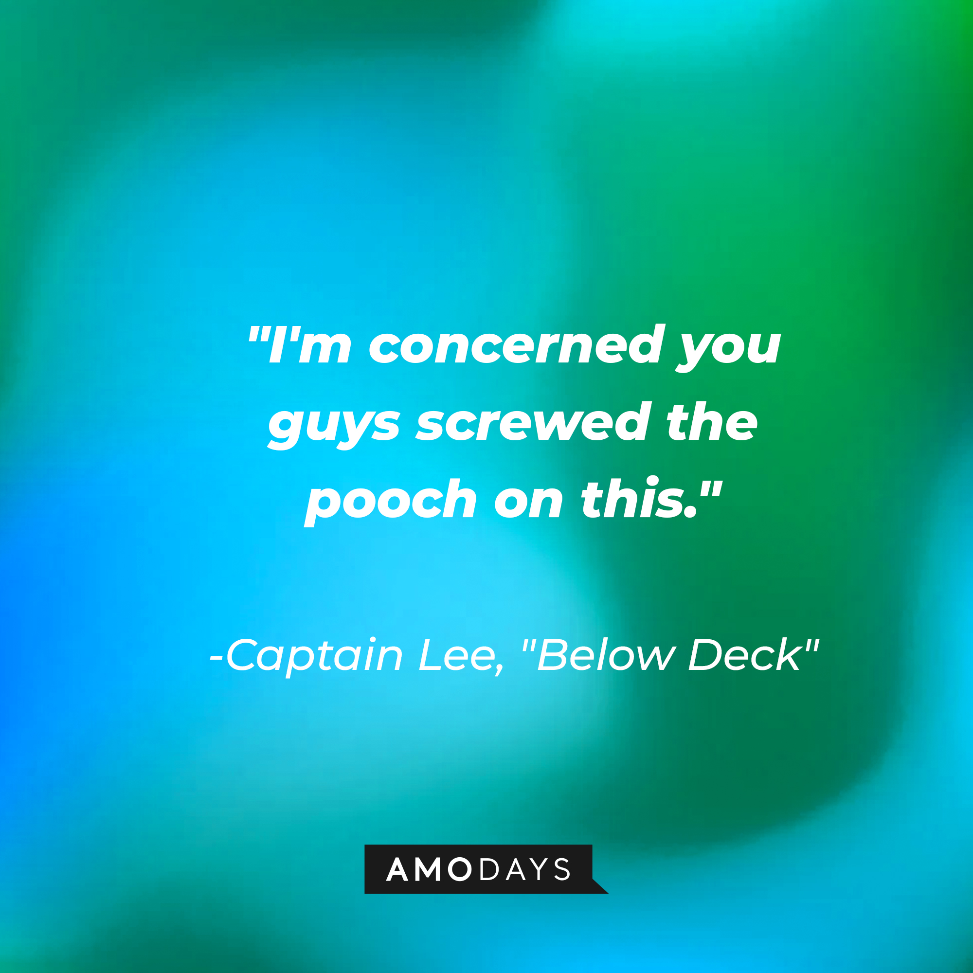 Captain Lee's quote from "Below Deck:" "I'm concerned you guys screwed the pooch on this." | Source: AmoDays