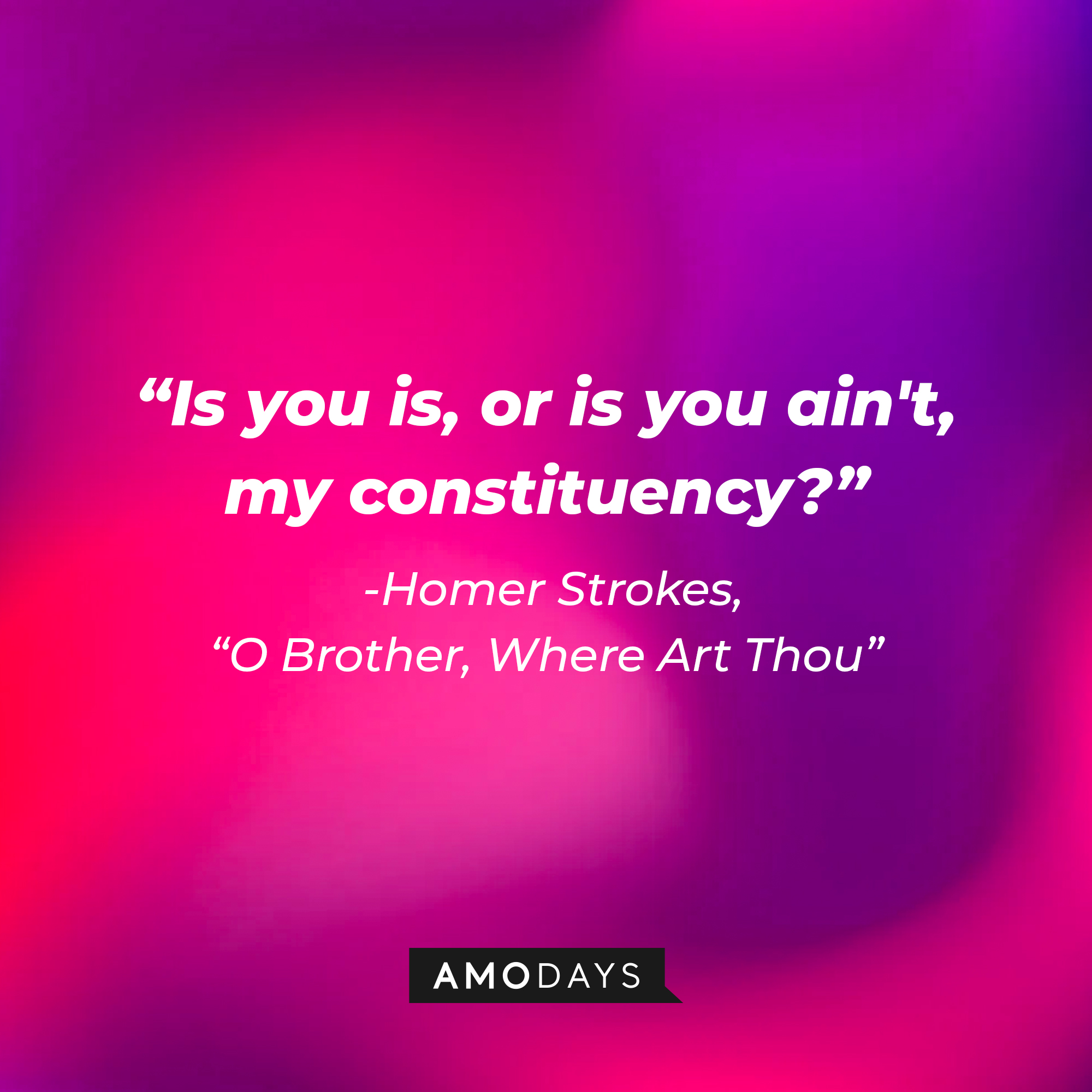 Homer Strokes' quote in "O Brother, Where Art Thou:" "Is you is, or is you ain't, my constituency?" | Source: AmoDays