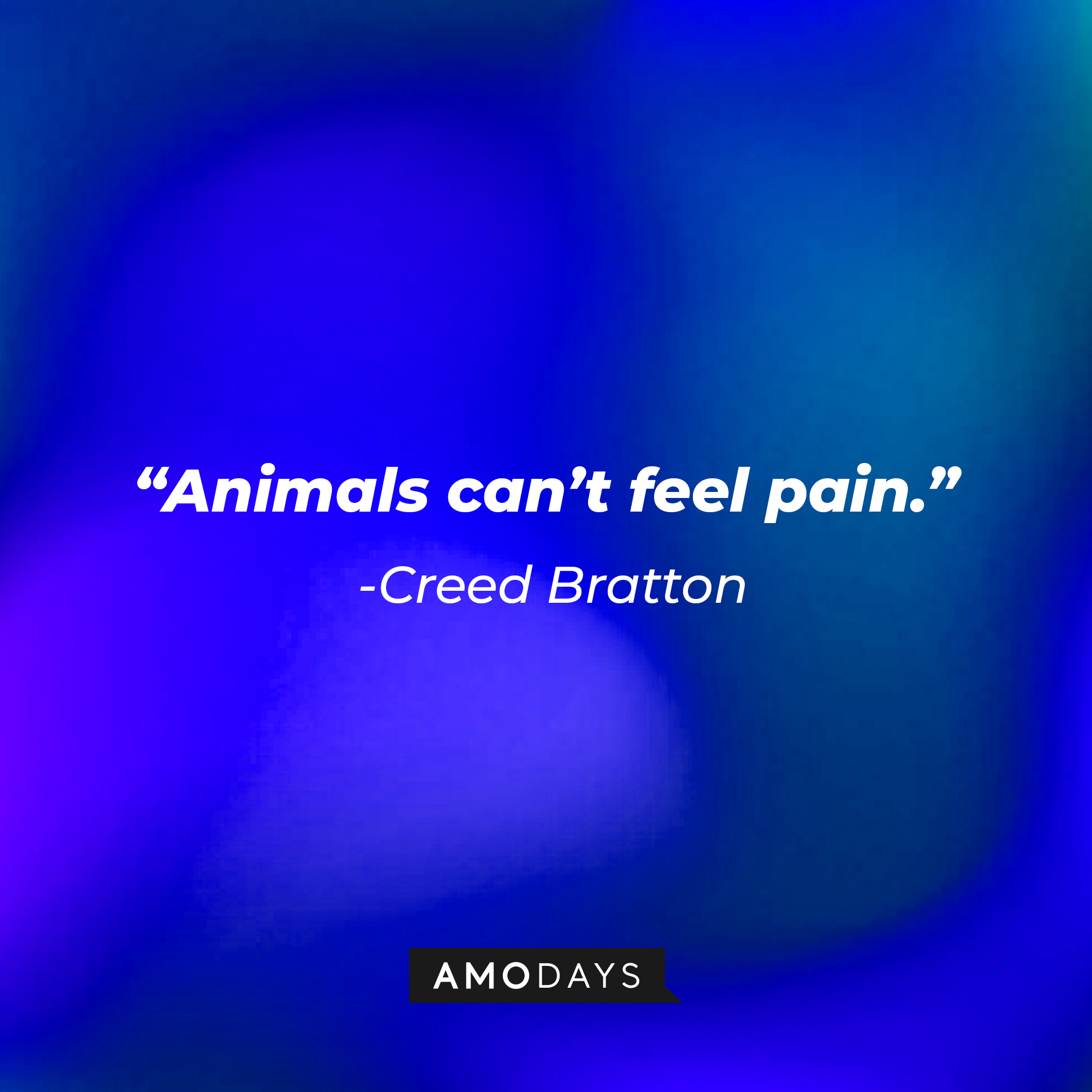 Creed Bratton's quote: "Animals can't feel pain." | Source: Amodays