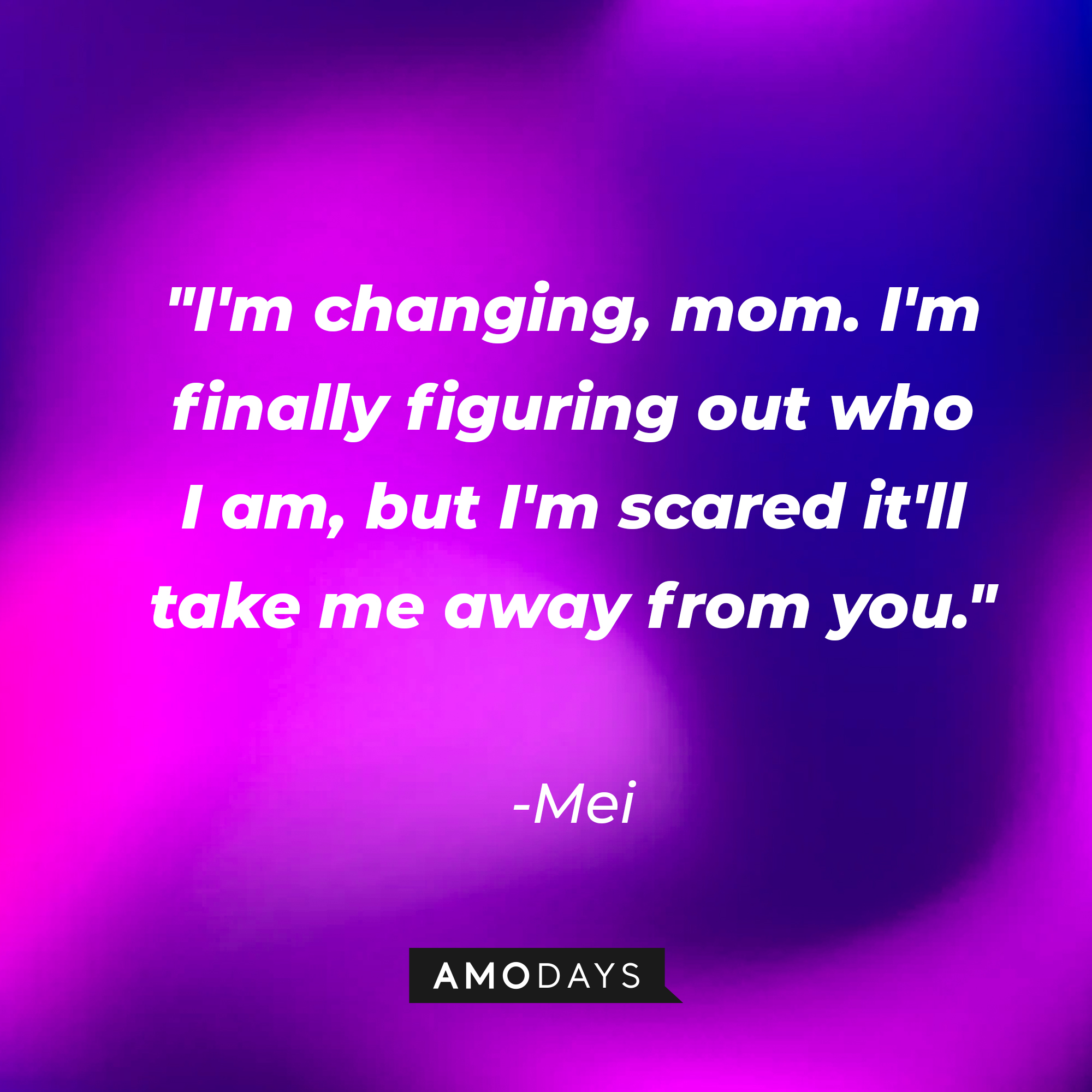 Mei's quote: "I'm changing, mom. I'm finally figuring out who I am, but I'm scared it'll take me away from you." | Source: AmoDays