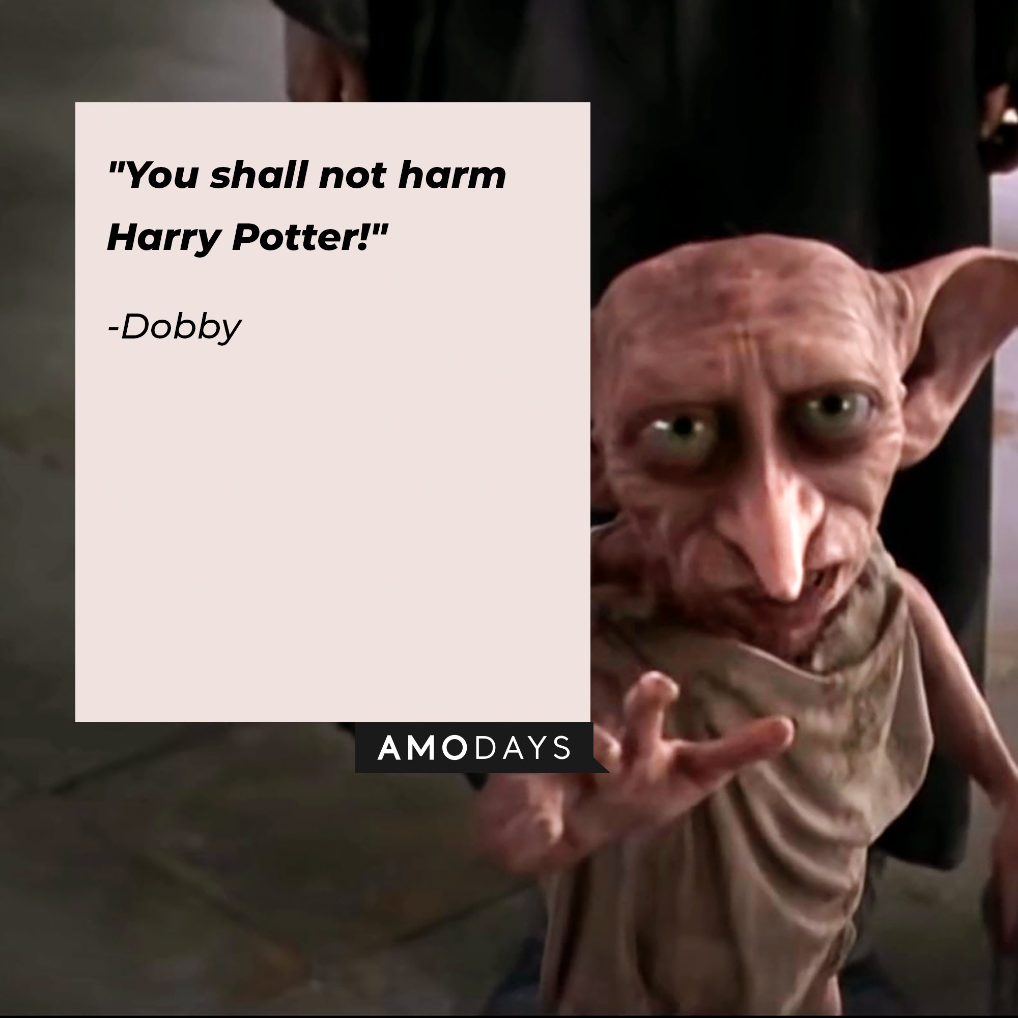 Dobby’s quote: "You shall not harm Harry Potter!” | Image: AmoDays
