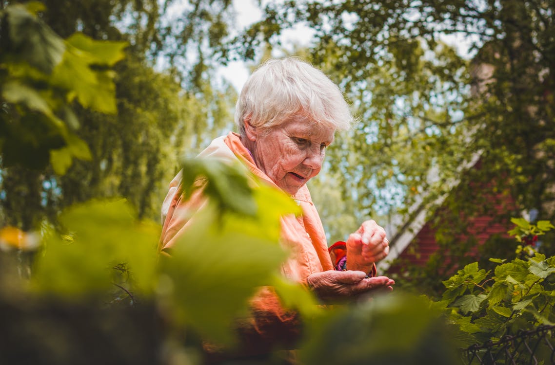 Emma explained how she finally found their gravesite. | Source: Pexels