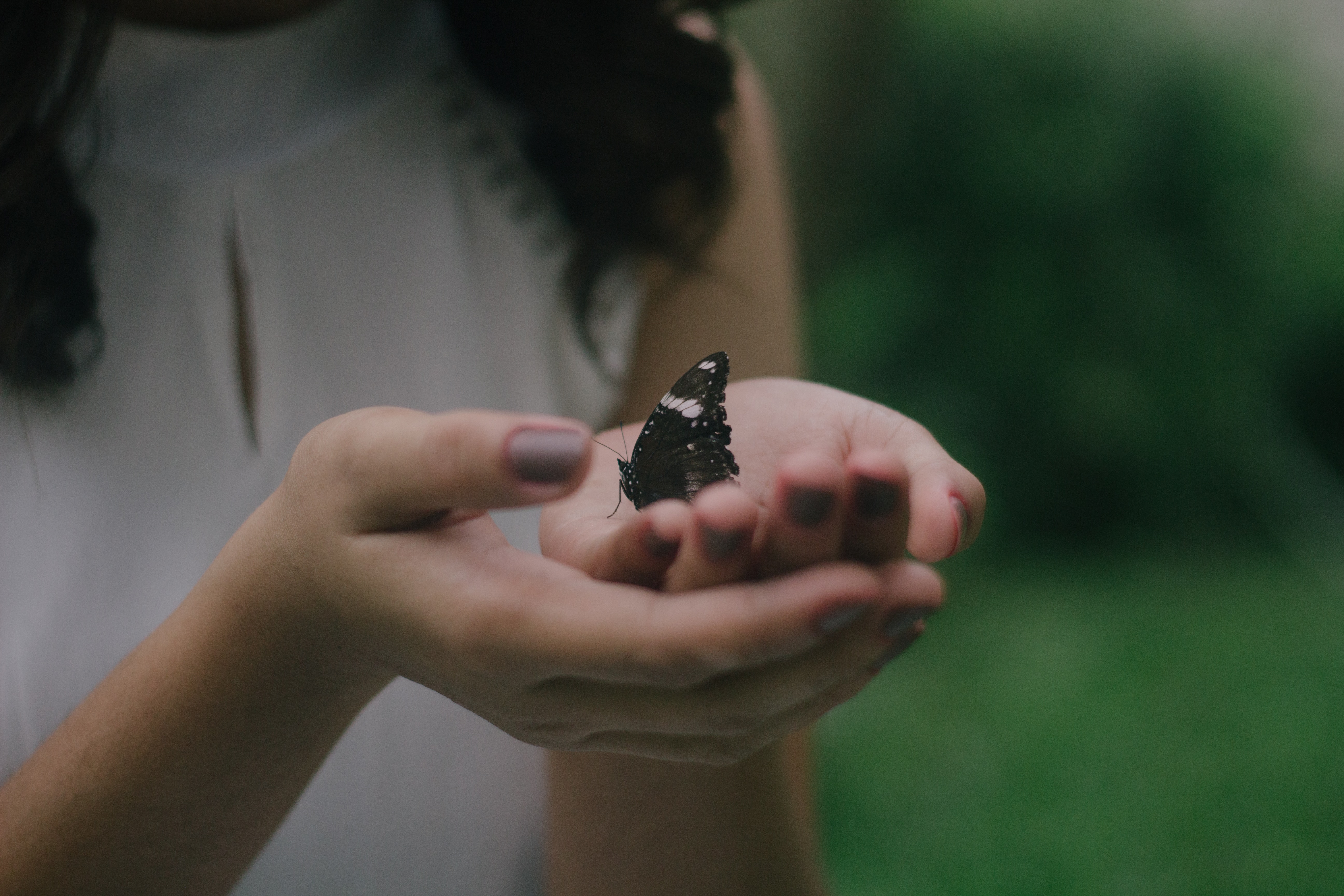 A woman holding a butterfly. | Source: Unsplash
