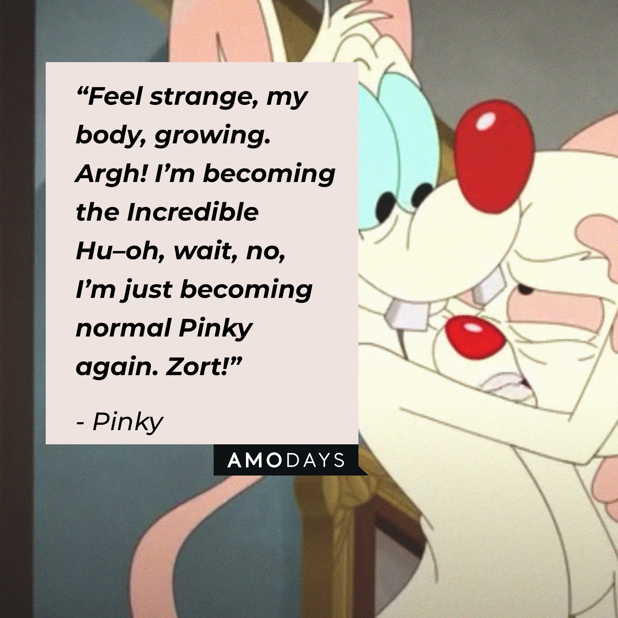 Pinky's quote: “Feel strange, my body, growing. Argh! I’m becoming the Incredible Hu–oh, wait, no, I’m just becoming normal Pinky again. Zort!” | Image: AmoDays