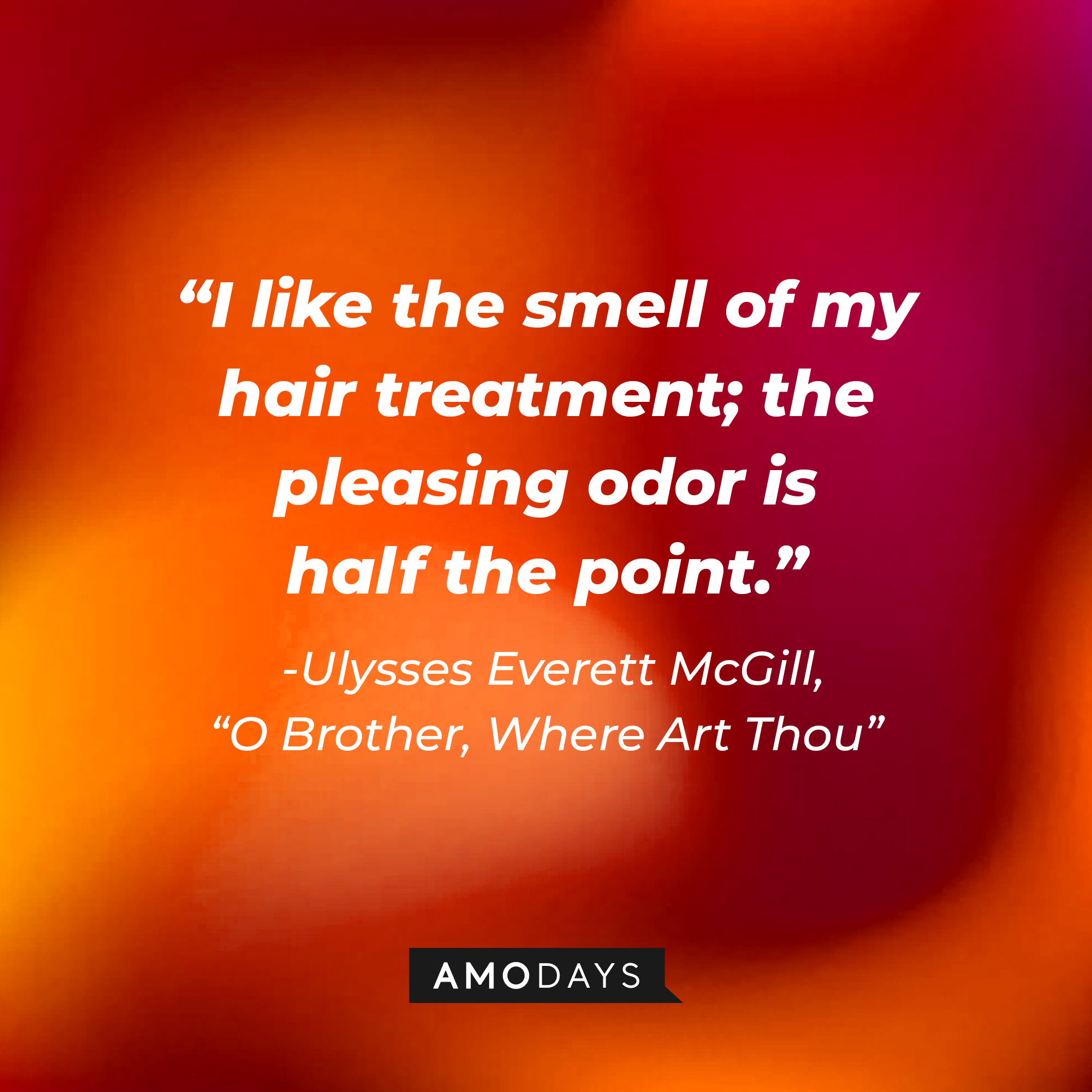 Ulysses Everett McGill's quote in "O Brother, Where Art Thou:" "I like the smell of my hair treatment; the pleasing odor is half the point." | Source: AmoDays