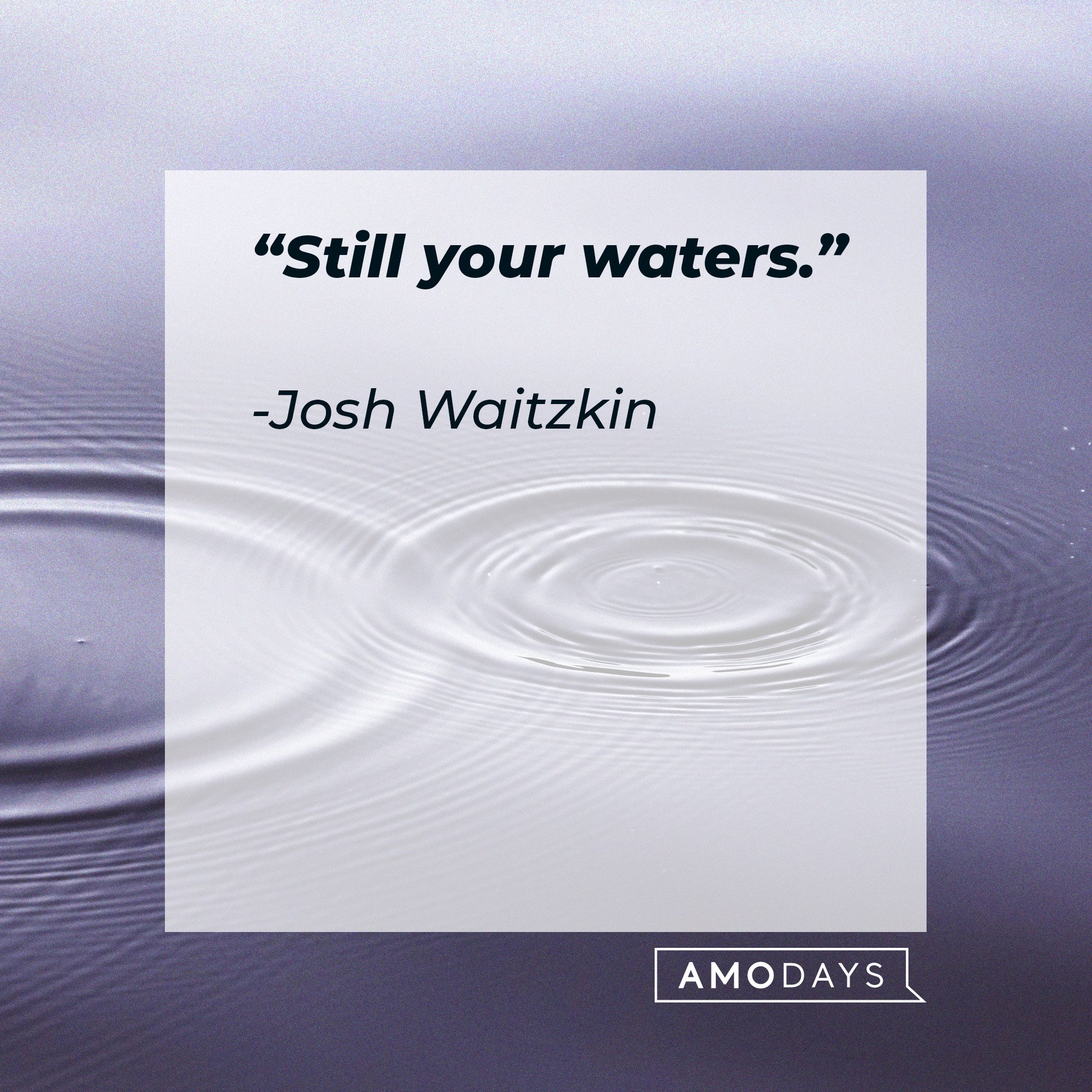 Josh Waitzkin's quote: “Still your waters.” | Image: AmoDays