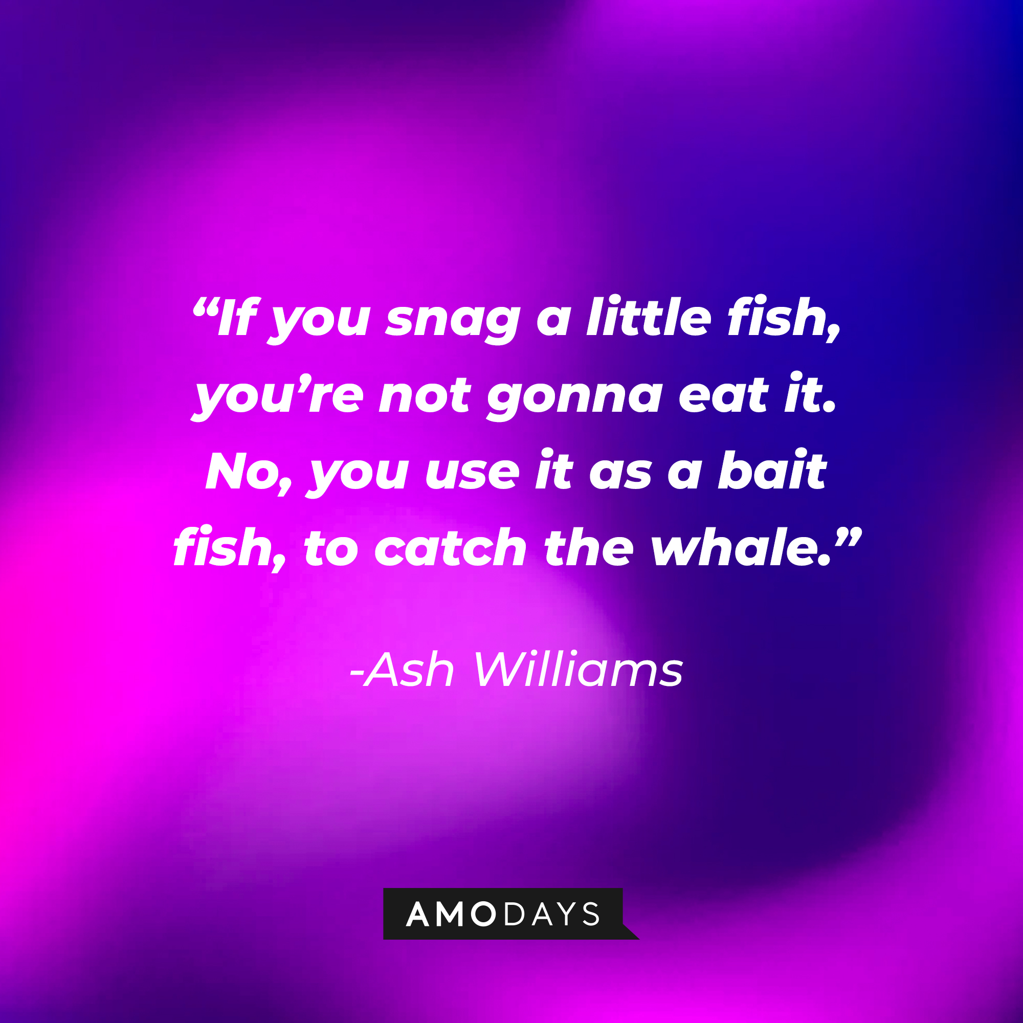 Ash Williams' quote: “If you snag a little fish, you’re not gonna eat it. No, you use it as a bait fish, to catch the whale.” | Source: Amodays