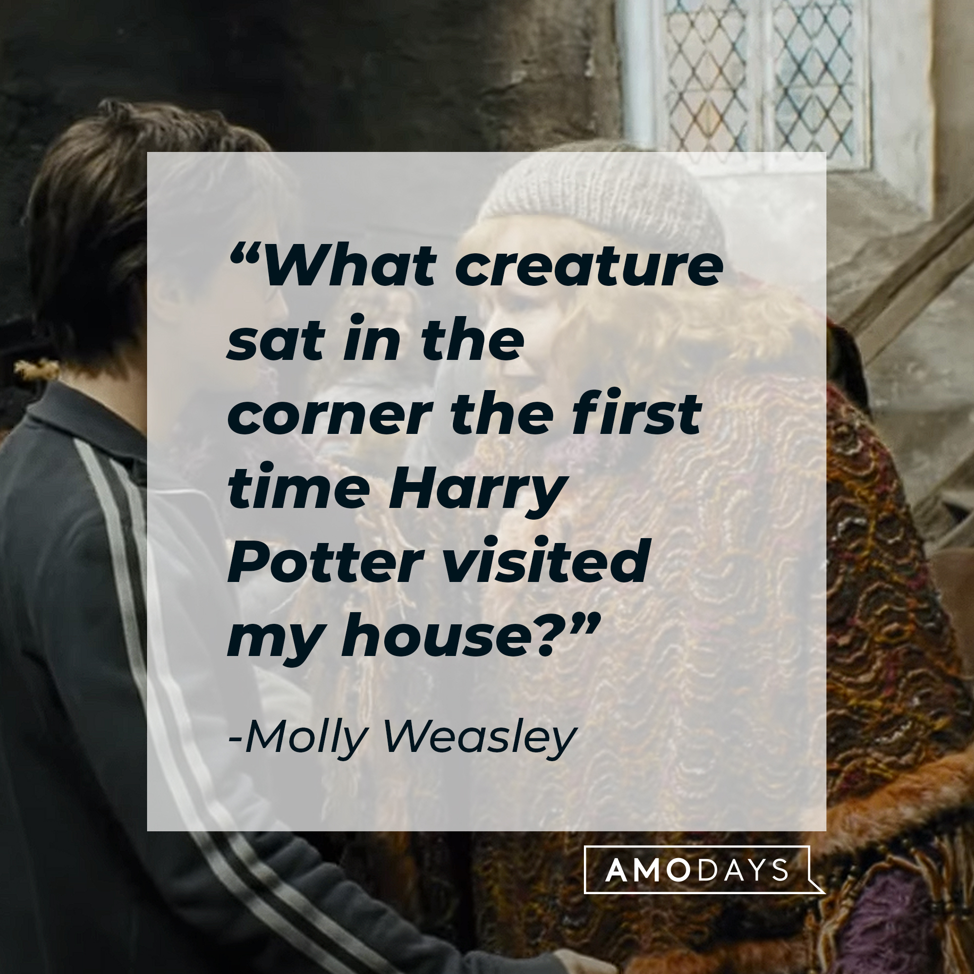 Molly Weasley's quote: "What creature sat in the corner the first time Harry Potter visited my house?" | Source: Youtube.com/harrypotter