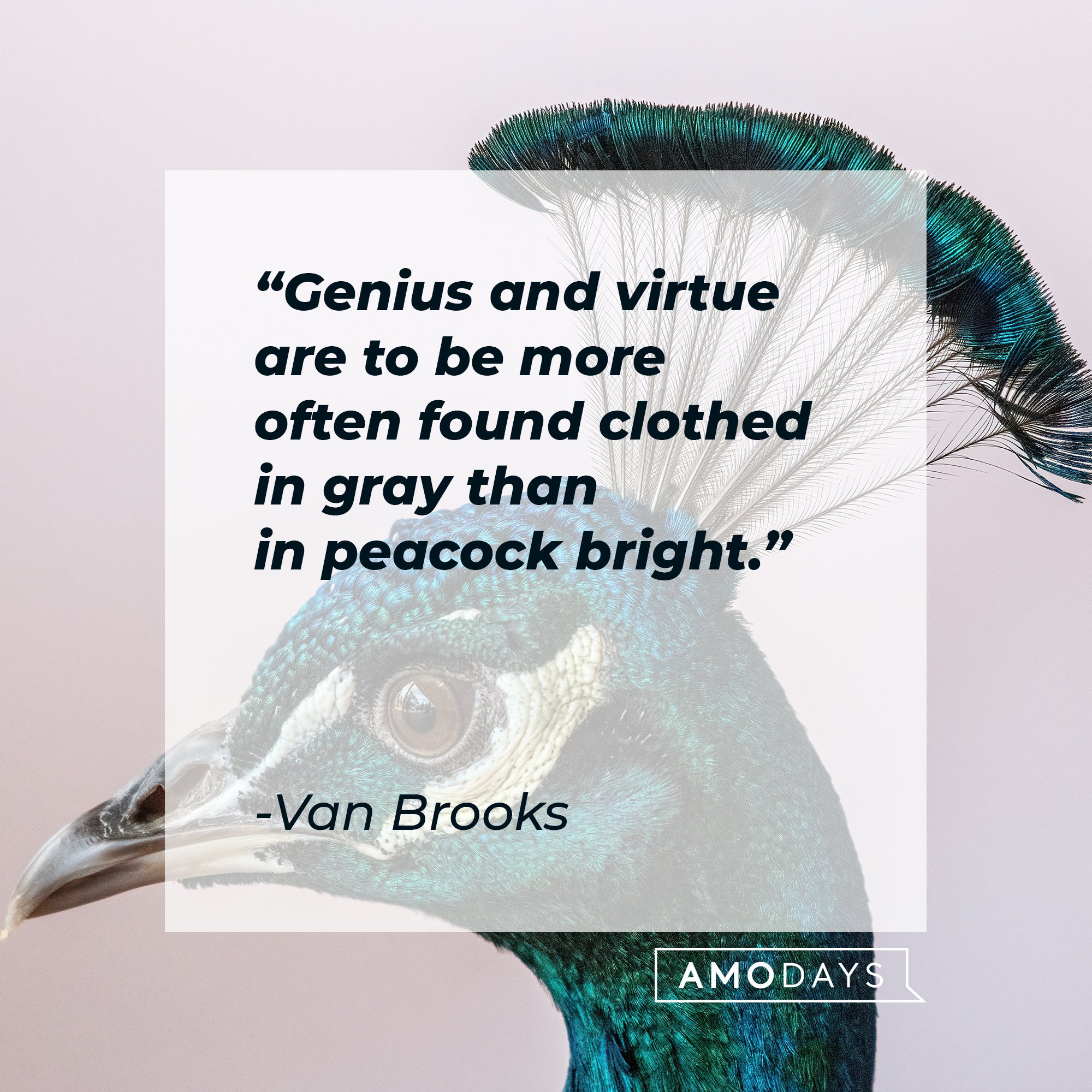Van Brooks’ quote: "Genius and virtue are to be more often found clothed in gray than in peacock bright." | Image: AmoDays