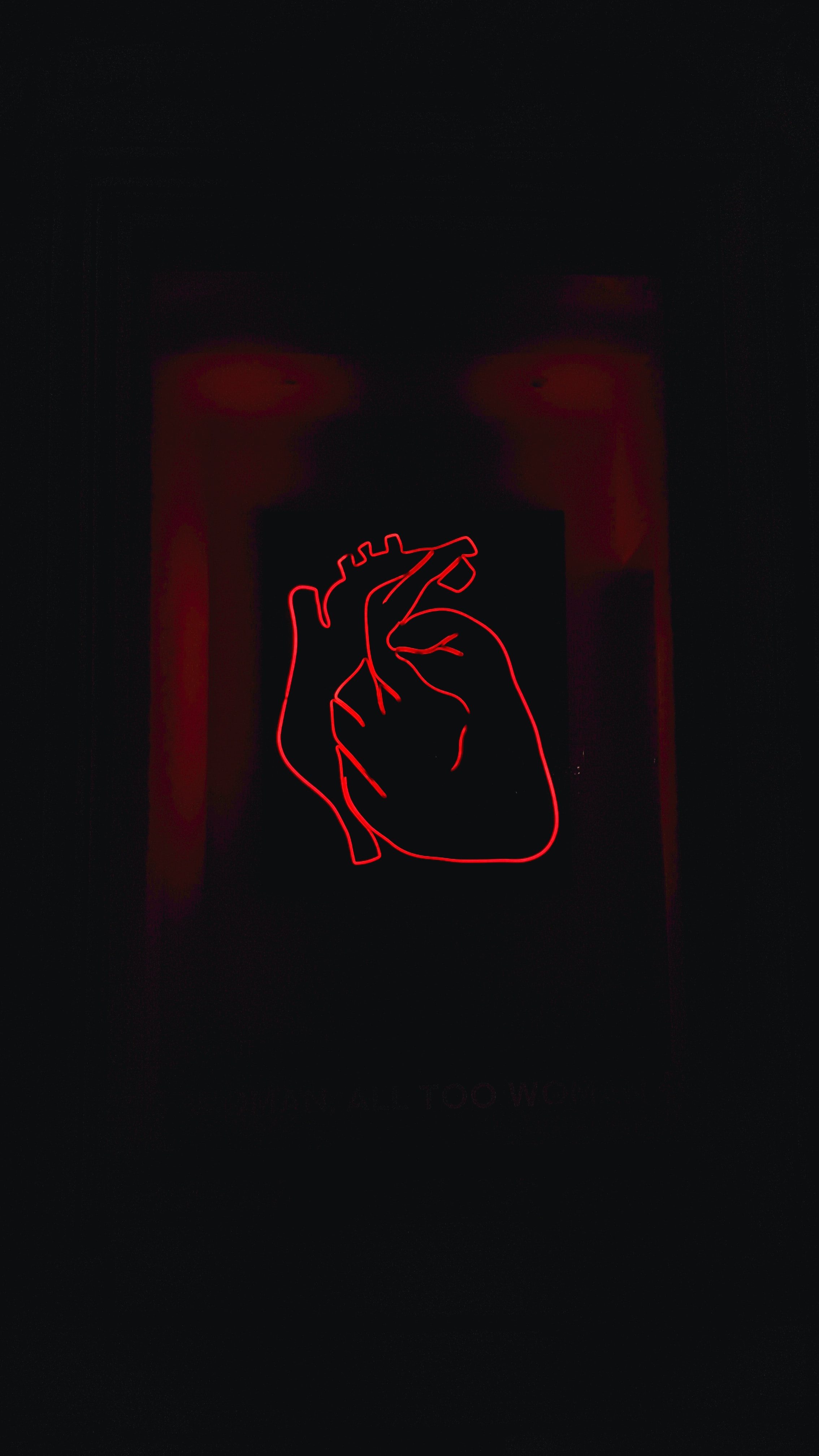 An image of a heart.┃Source: Unsplash