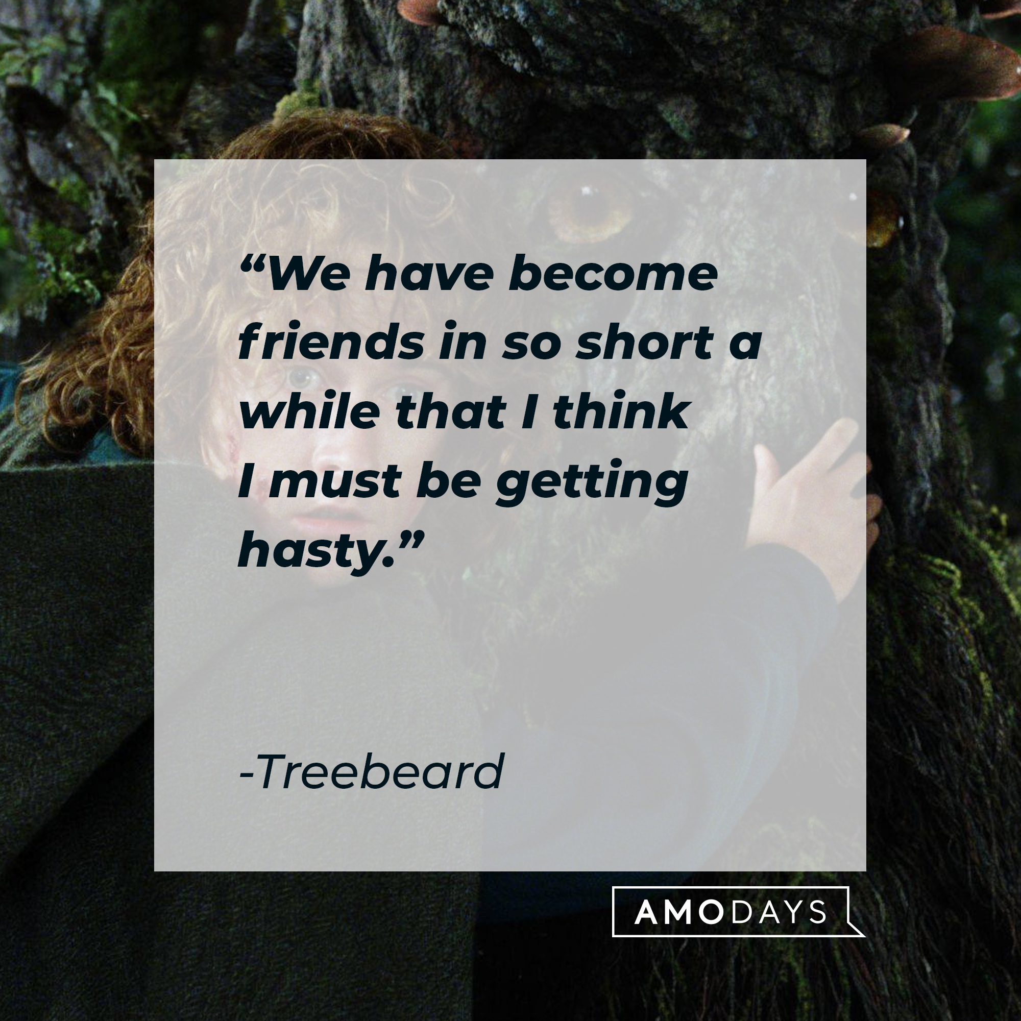 Treebeard with his quote from "The Lord of the Rings:" "We have become friends in so short a while that I think I must be getting hasty." | Source: Facebook/lordoftheringstrilogy