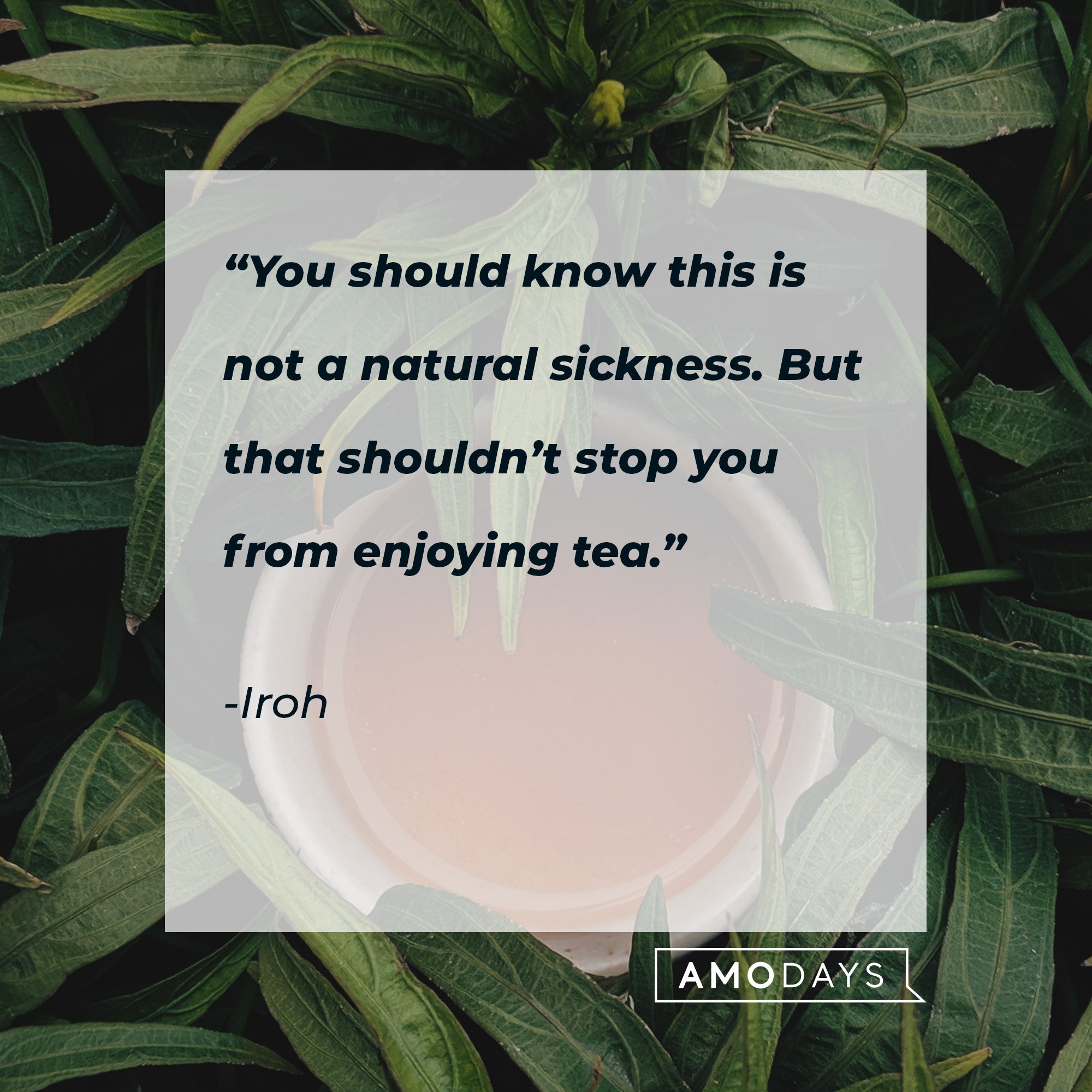 Iroh's quote: “You should know this is not a natural sickness. But that shouldn’t stop you from enjoying tea.” | Image: AmoDays