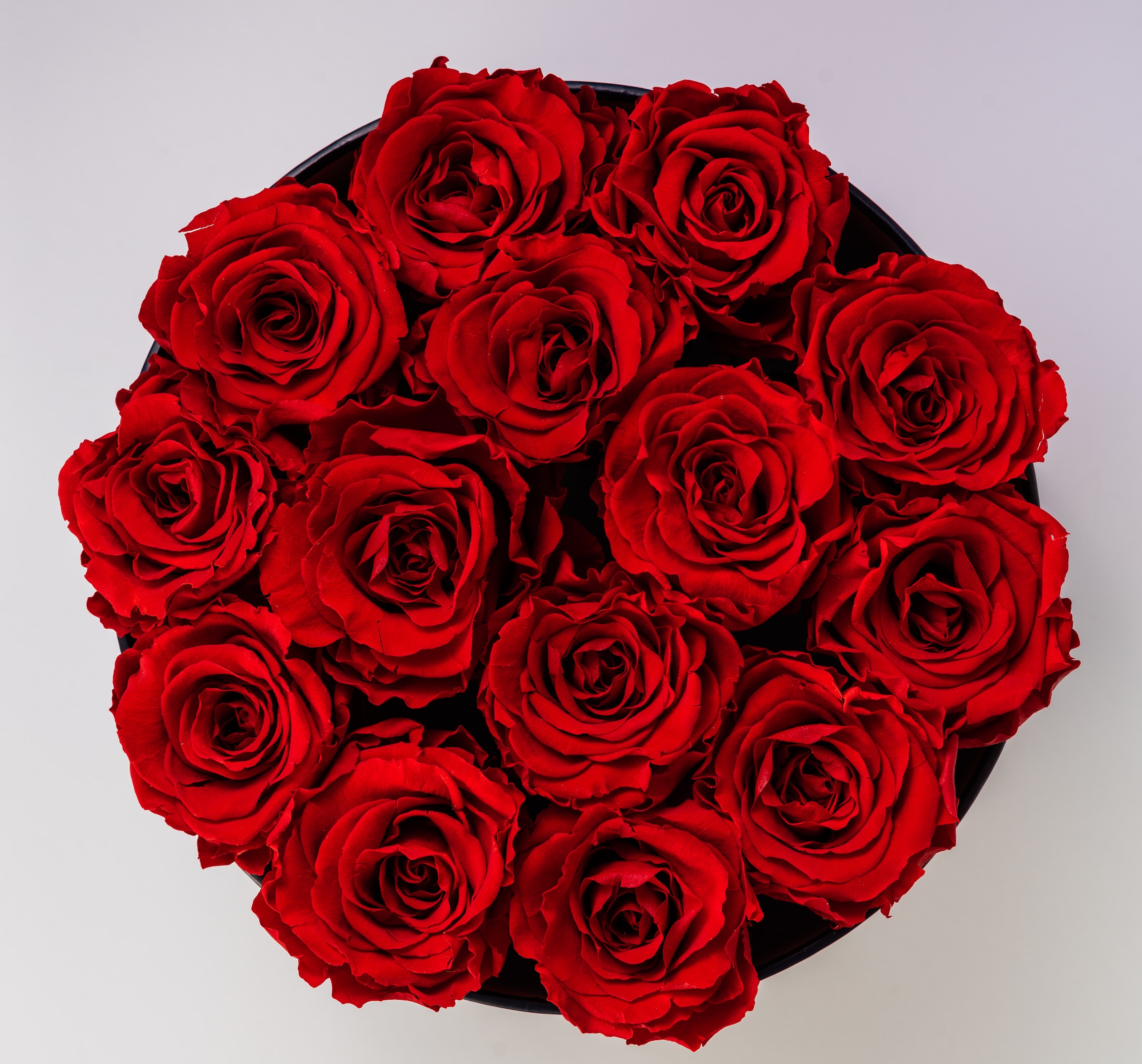Red roses | Source: Unsplash