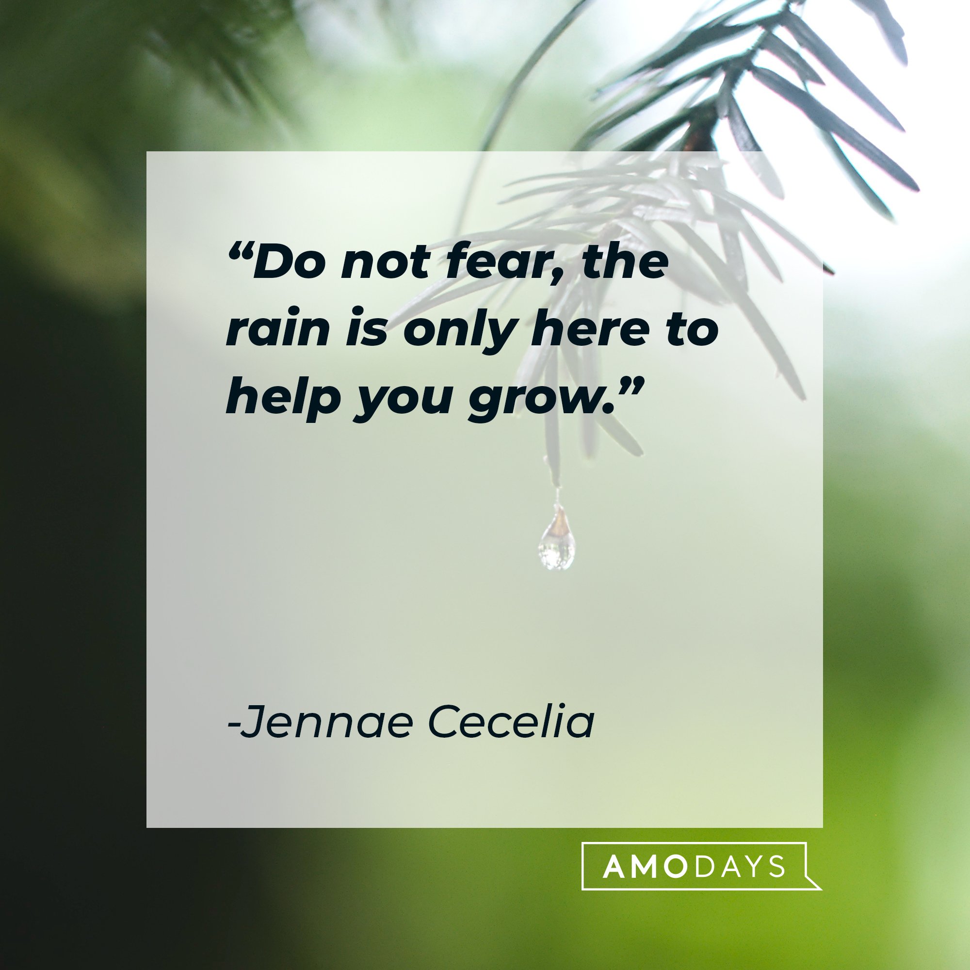 Jennae Cecelia’s quote: "Do not fear, the rain is only here to help you grow." | Image: AmoDays