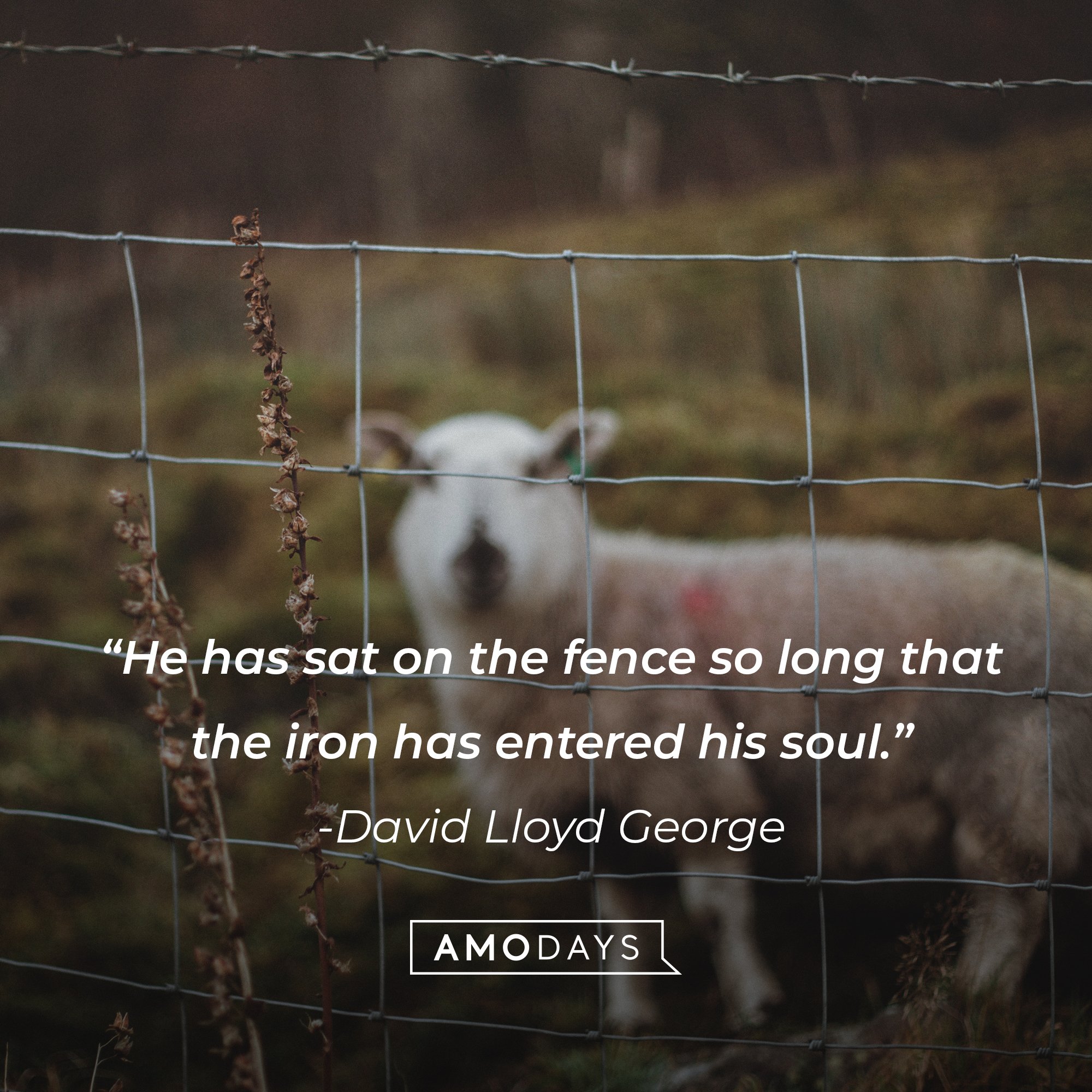 David Lloyd George's quote: “He has sat on the fence so long that the iron has entered his soul.” | Image: AmoDays