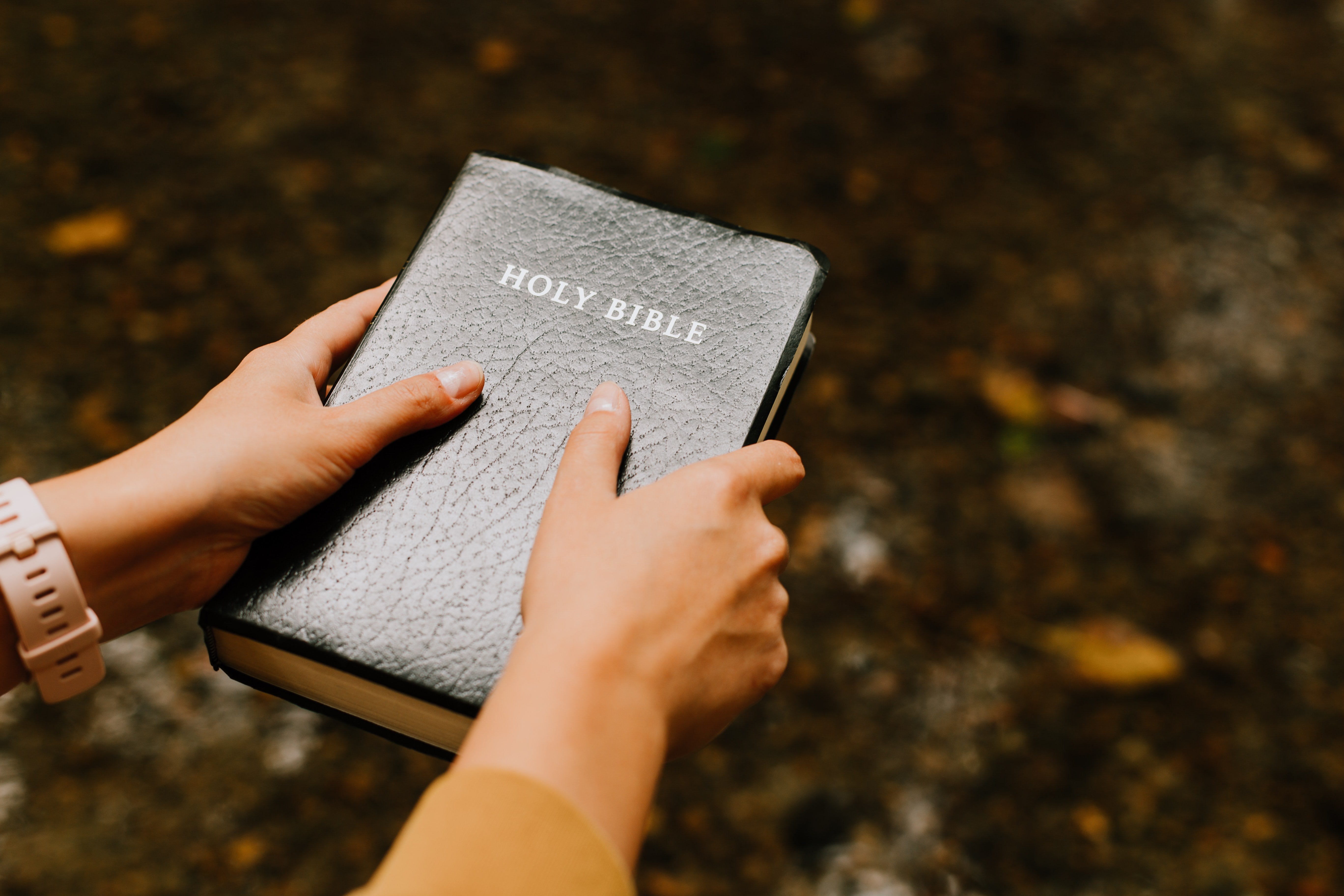 When Adam cried to his mother, she gave him the Holy Bible to find the answers to his concerns. | Source: Unsplash