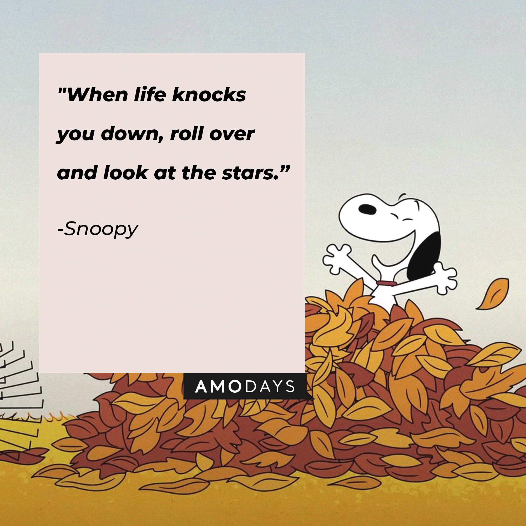 Snoopy’s quote: "When life knocks you down, roll over and look at the stars.” | Image: AmoDays