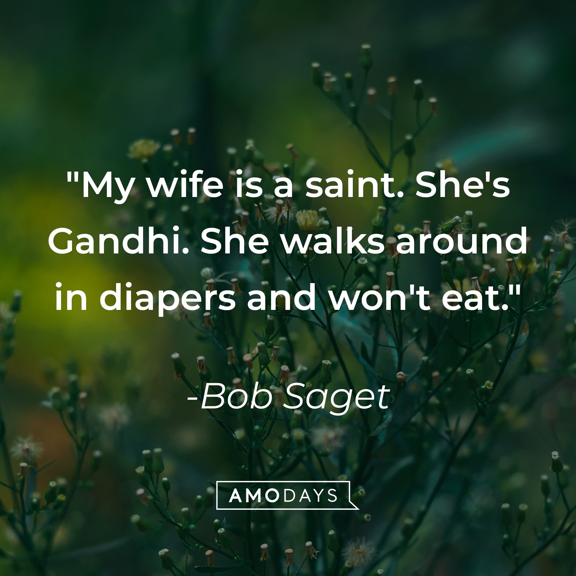  Bob Saget’s quote: "My wife is a saint. She's Gandhi. She walks around in diapers and won't eat." | Image: AmoDays