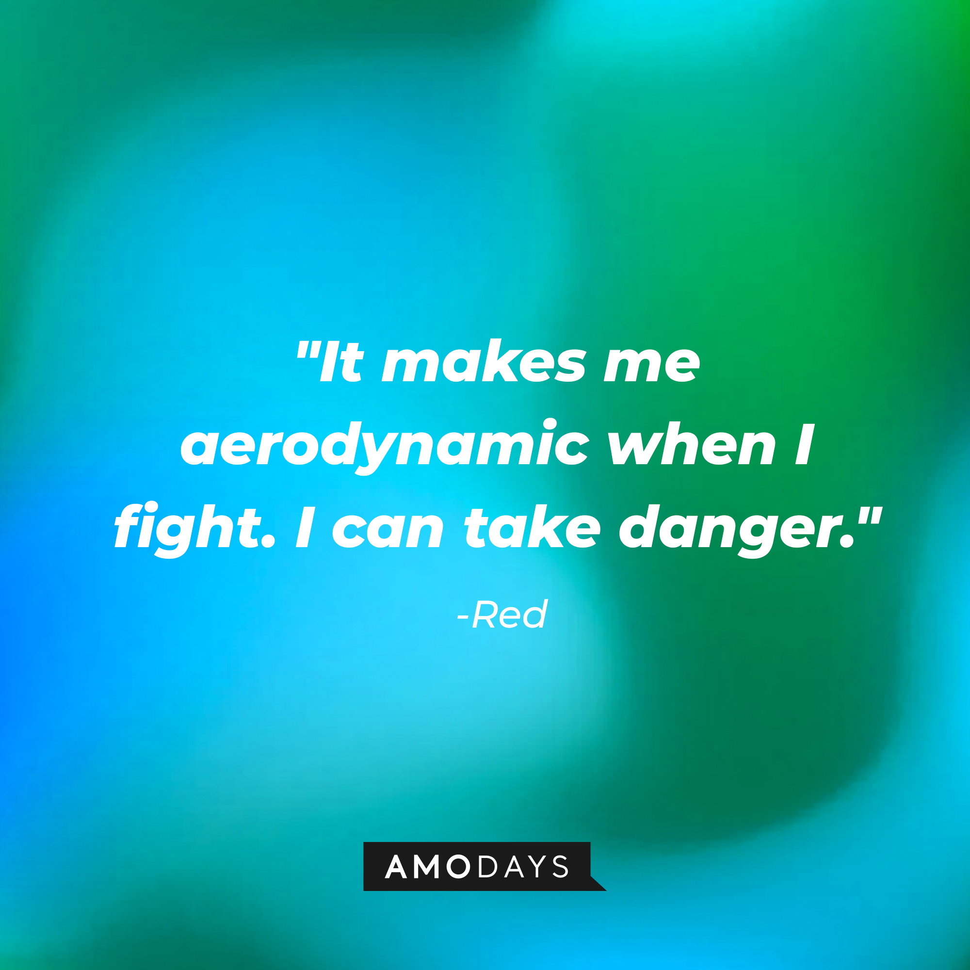 Red's quote: "It makes me aerodynamic when I fight. I can take danger." | Source: AmoDays