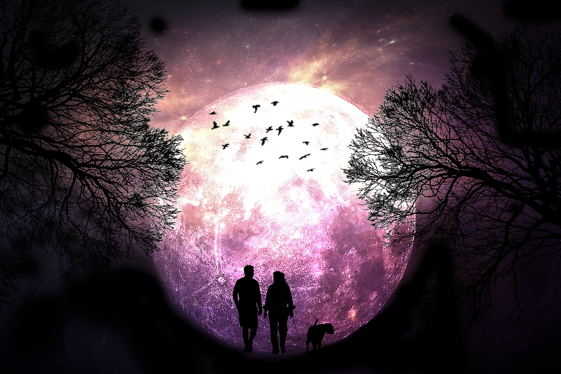 A drawn out picture of a couple with a dog, walking in front of a full moon. | Source: Pixabay
