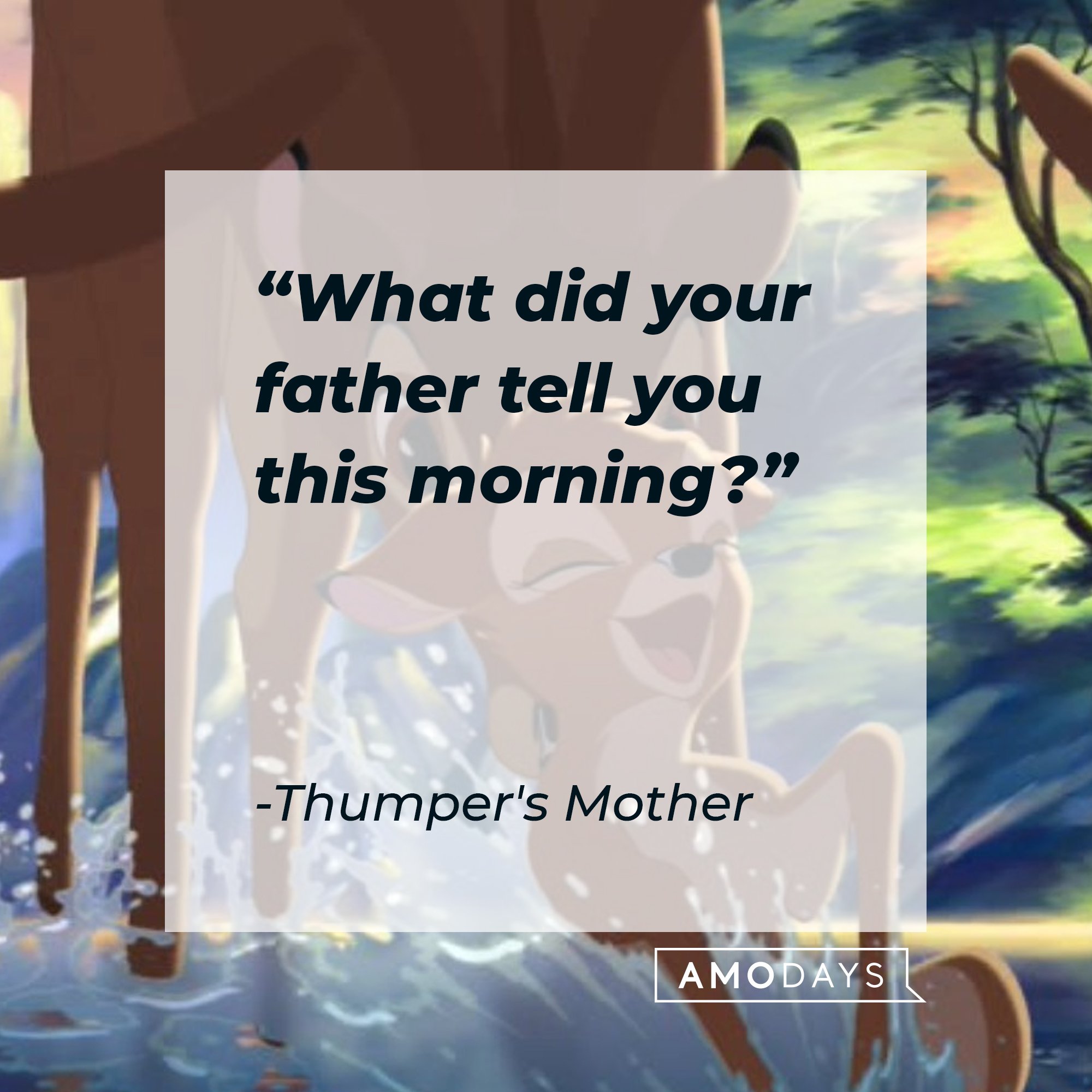 58 Bambi Quotes To Remind You Of This Heartwarming Disney Classic 58 Bambi Quotes To Remind You Of This Heartwarming Disney Classic