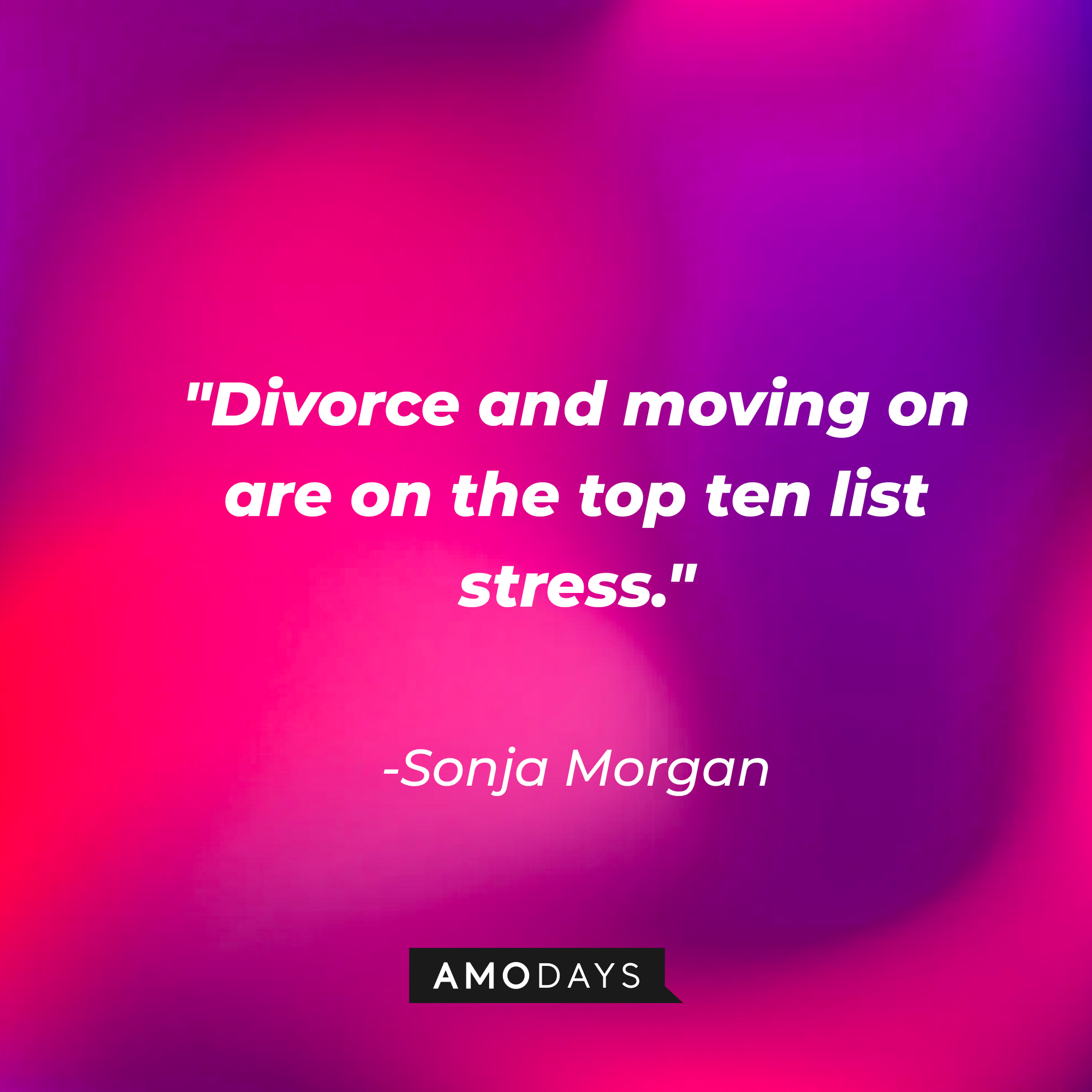 Sonja Morgan's quote: " Divorce and moving on are on the top ten list stress." Sonja Morgan's quote: "I don't stir the pot. I stir the drink." | Source: Amodays