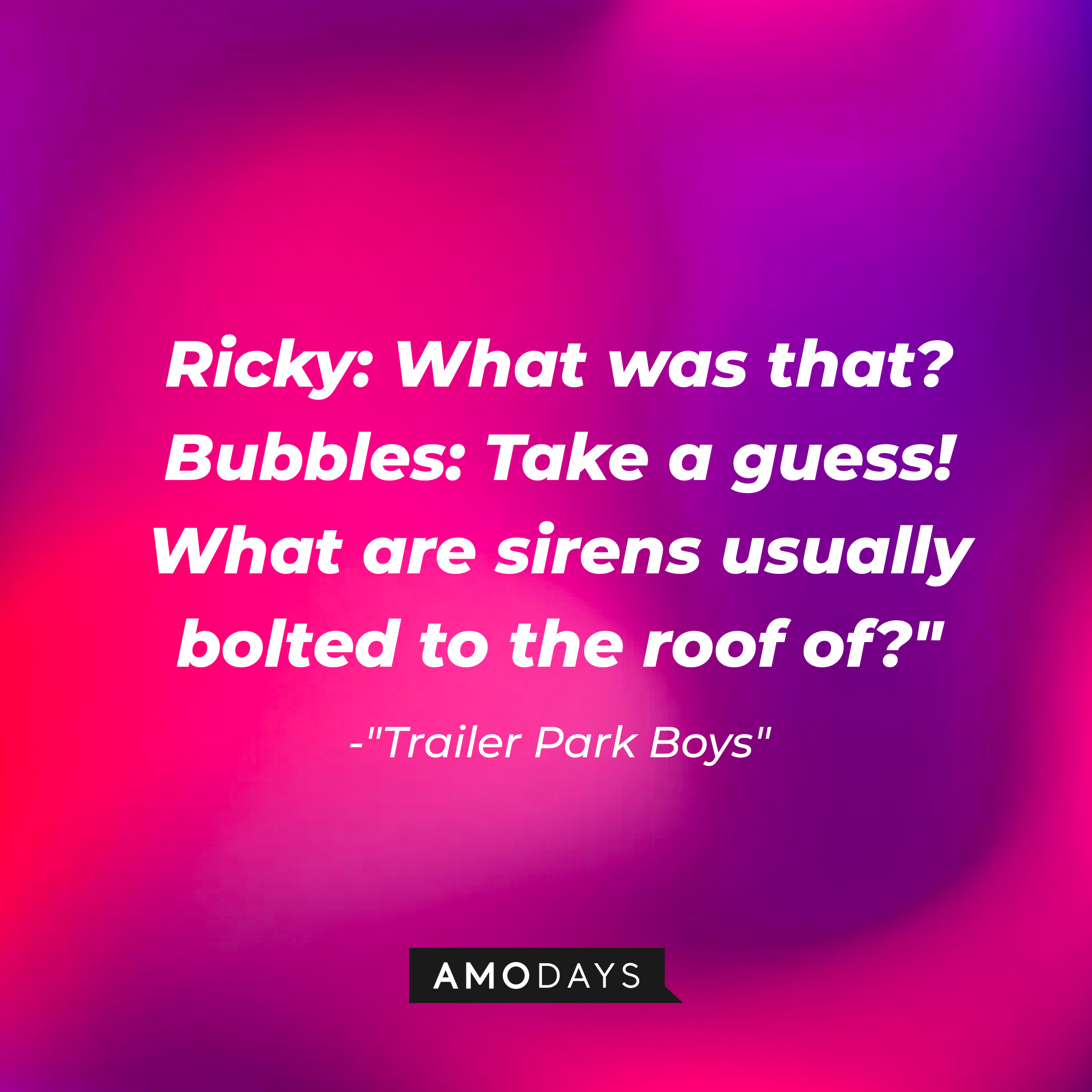 "Trailer Park Boys" quote, "Ricky: What was that? Bubbles: Take a guess! What are sirens usually bolted to the roof of?" | Source: AmoDays