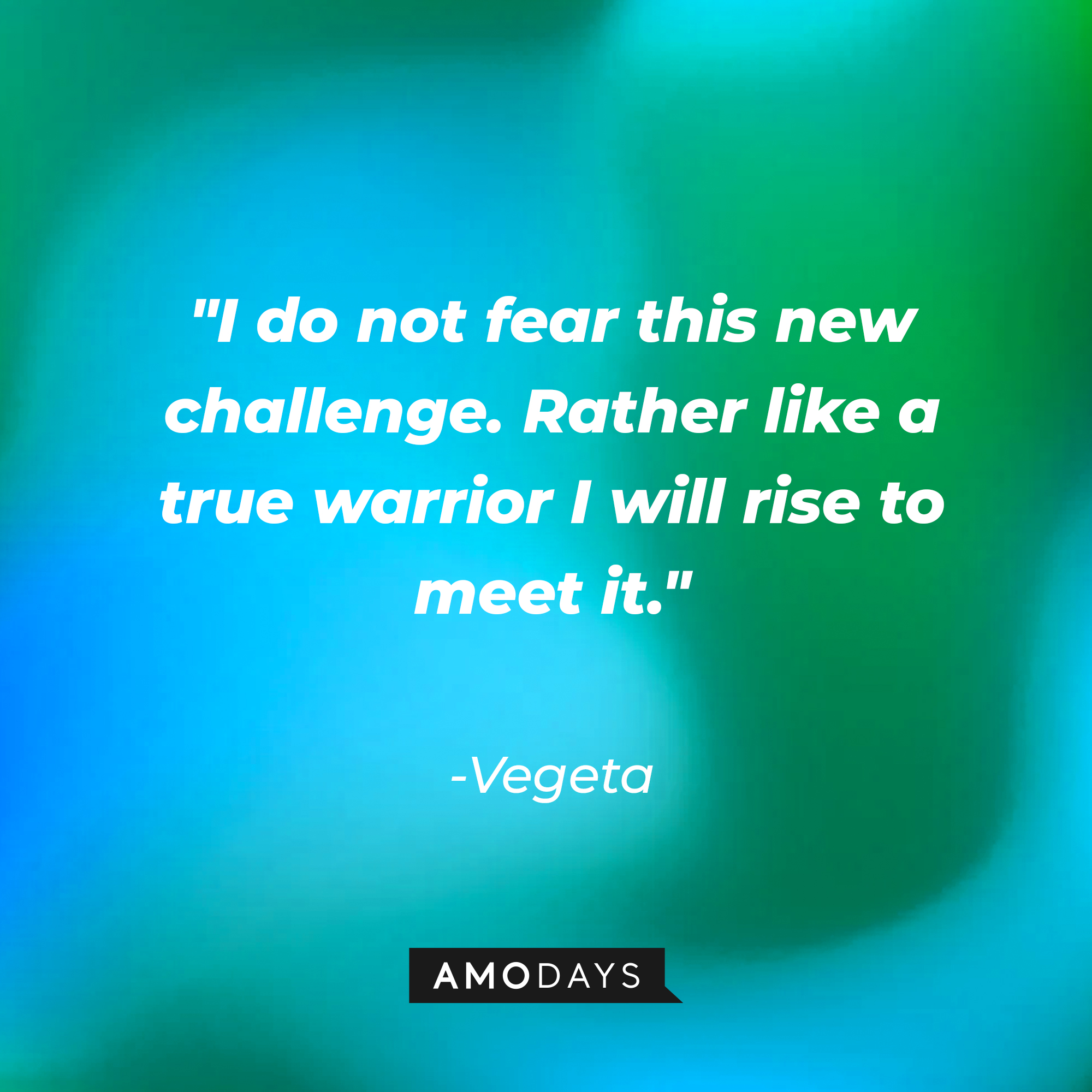 Vegeta's quote: "I do not fear this new challenge. Rather like a true warrior I will rise to meet it." | Source: Amodays