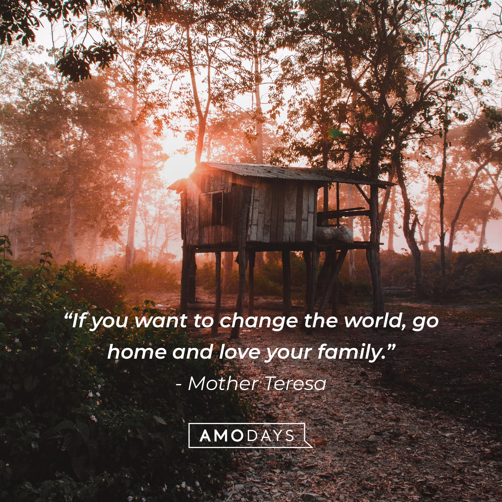 Mother Teresa's quote: “If you want to change the world, go home and love your family.” | Image: AmoDays