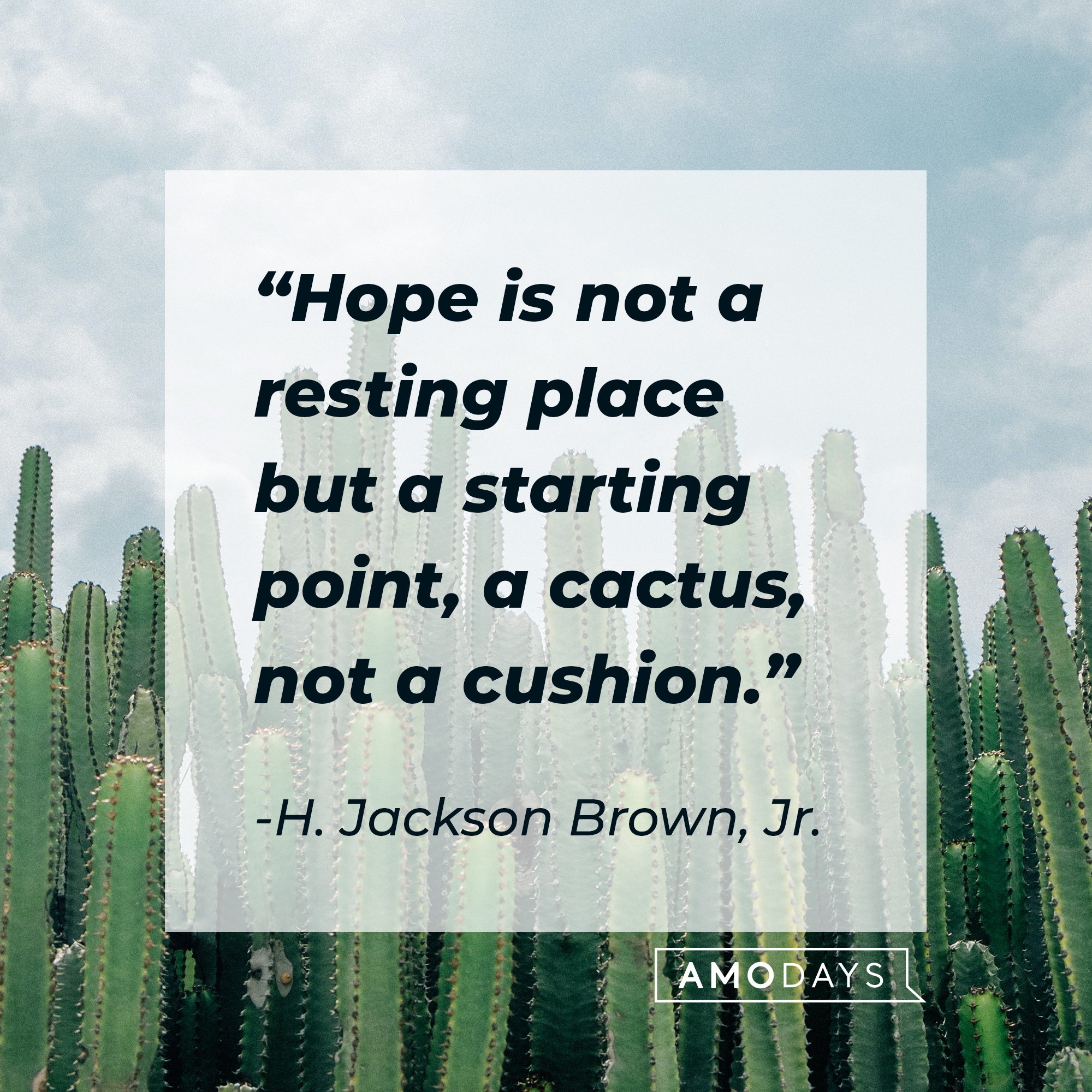 H. Jackson Brown, Jr.’s quote: "Hope is not a resting place but a starting point, a cactus, not a cushion."  | Image: AmoDays