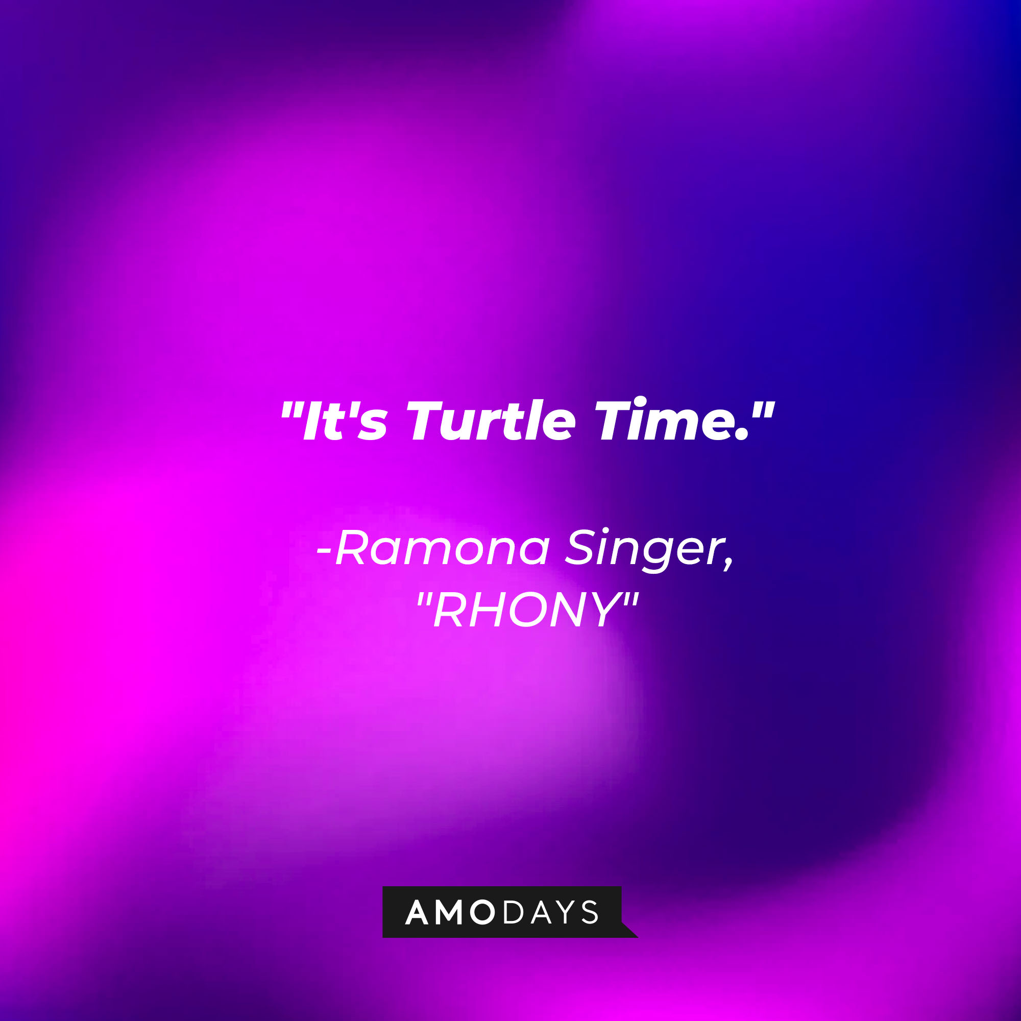 Ramona Singer's quote: "It's Turtle Time" | Source: Amodays
