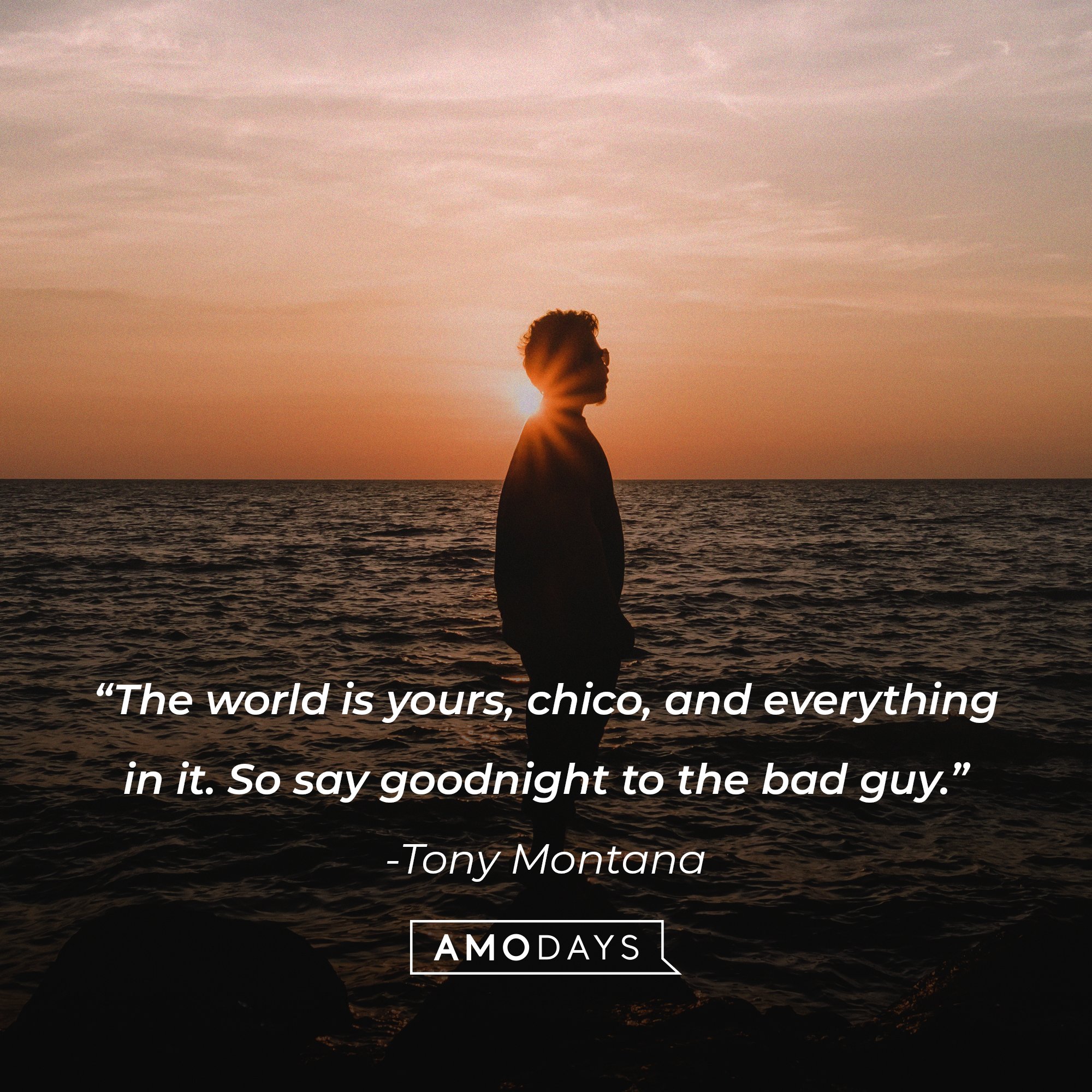  Tony Montana’s quote: “The world is yours, chico, and everything in it. So say goodnight to the bad guy.”  | Image: AmoDays