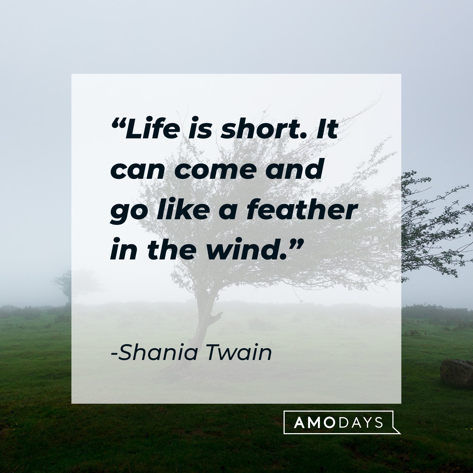 Shania Twain's quote: "Life is short. It can come and go like a feather in the wind." | Image: AmoDays