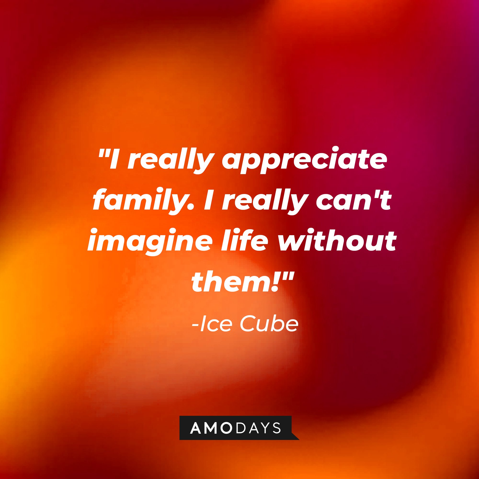 Ice Cube's quote: "I really appreciate family. I really can't imagine life without them!" — Ice Cube | Image: AmoDays