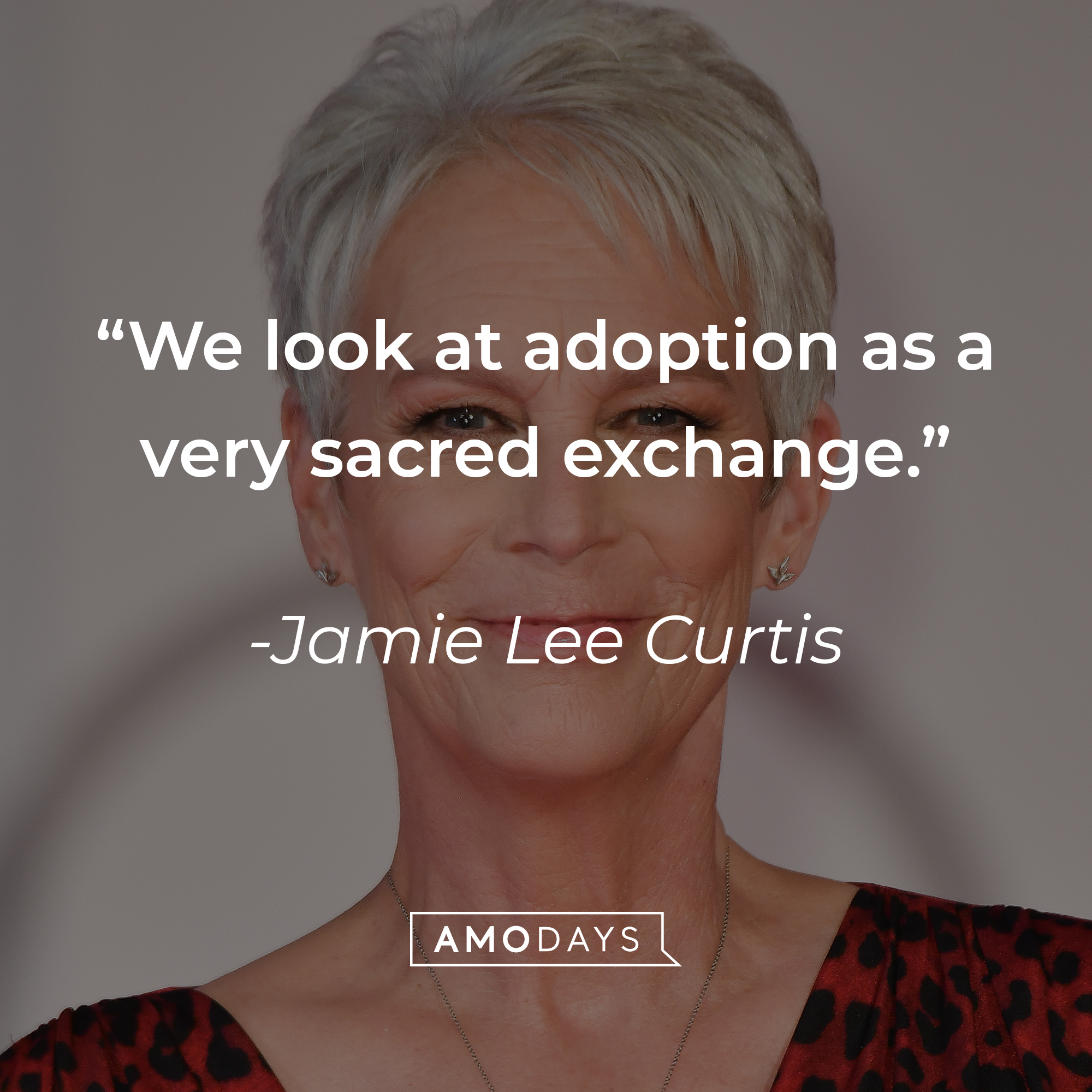 An image of Jamie Lee Curtis, with her quote: “We look at adoption as a very sacred exchange.” | Source: Getty Images