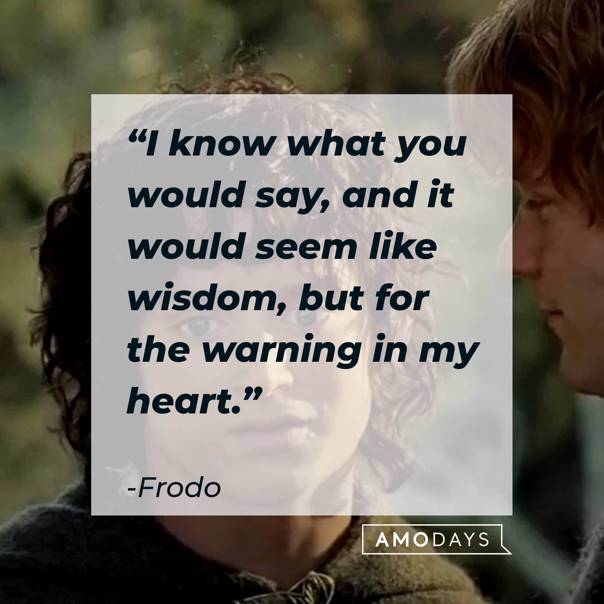 A photo of Frodo Baggins with the quote, "I know what you would say, and it would seem like wisdom, but for the warning in my heart." | Source: Facebook/lordoftheringstrilogy