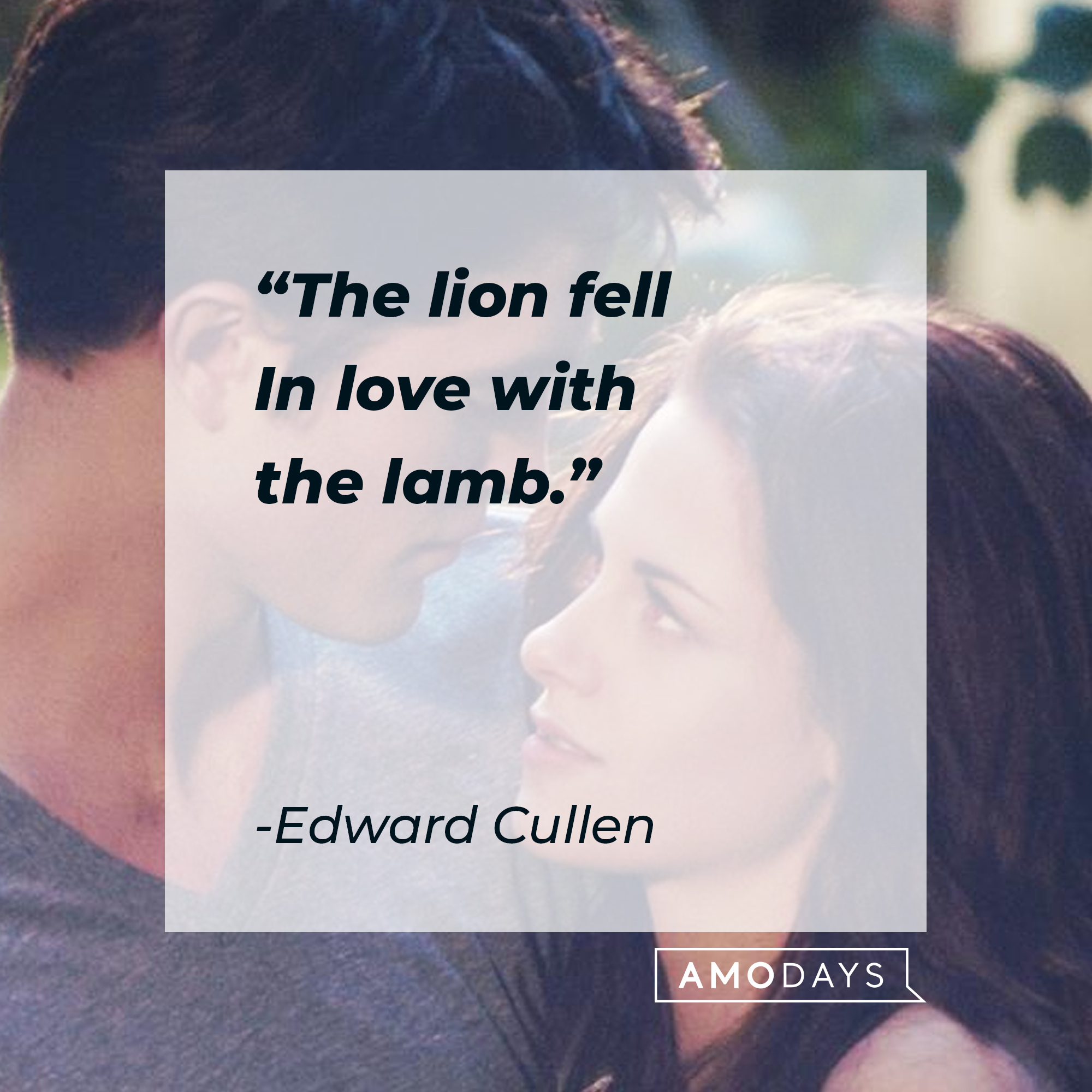 An image of Edward Cullen and Bella Swan, with Cullen’s quote: "The lion fell In love with the lamb." | Source: Facebook.com/twilight