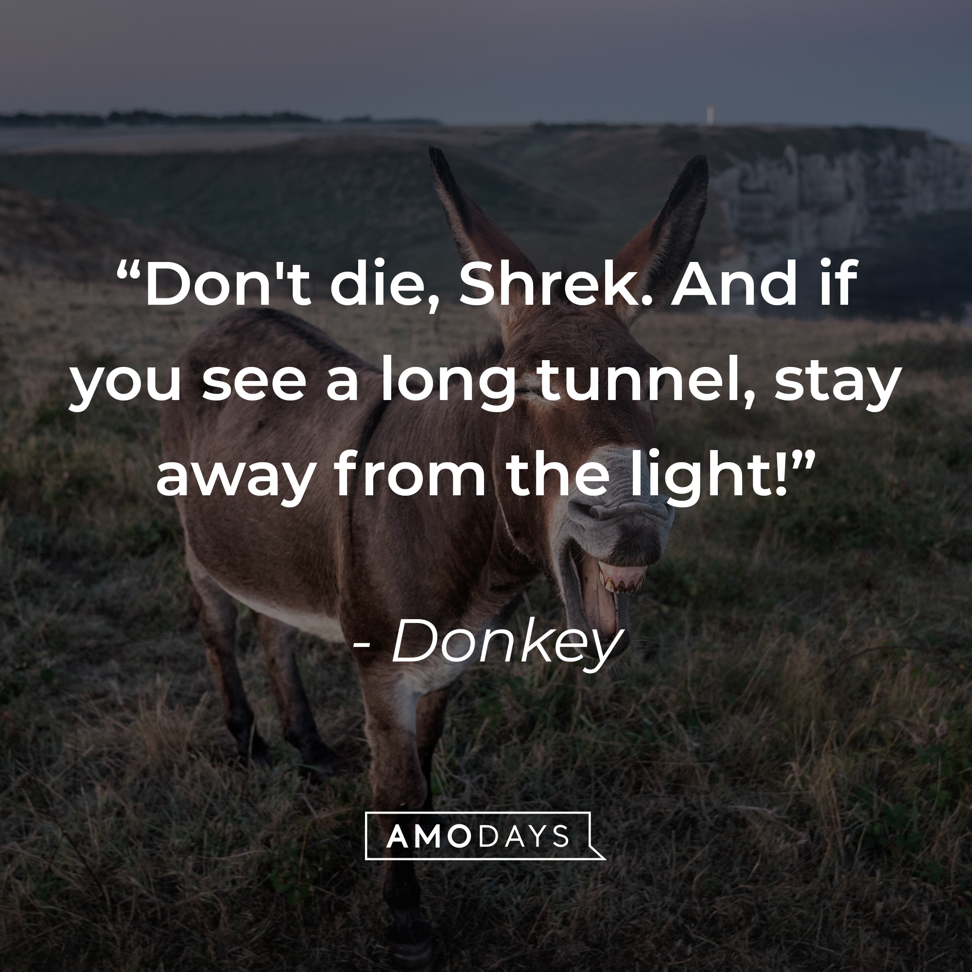 Donkey's quote: "Don't die, Shrek. And if you see a long tunnel, stay away from the light!" | Source: Unsplash