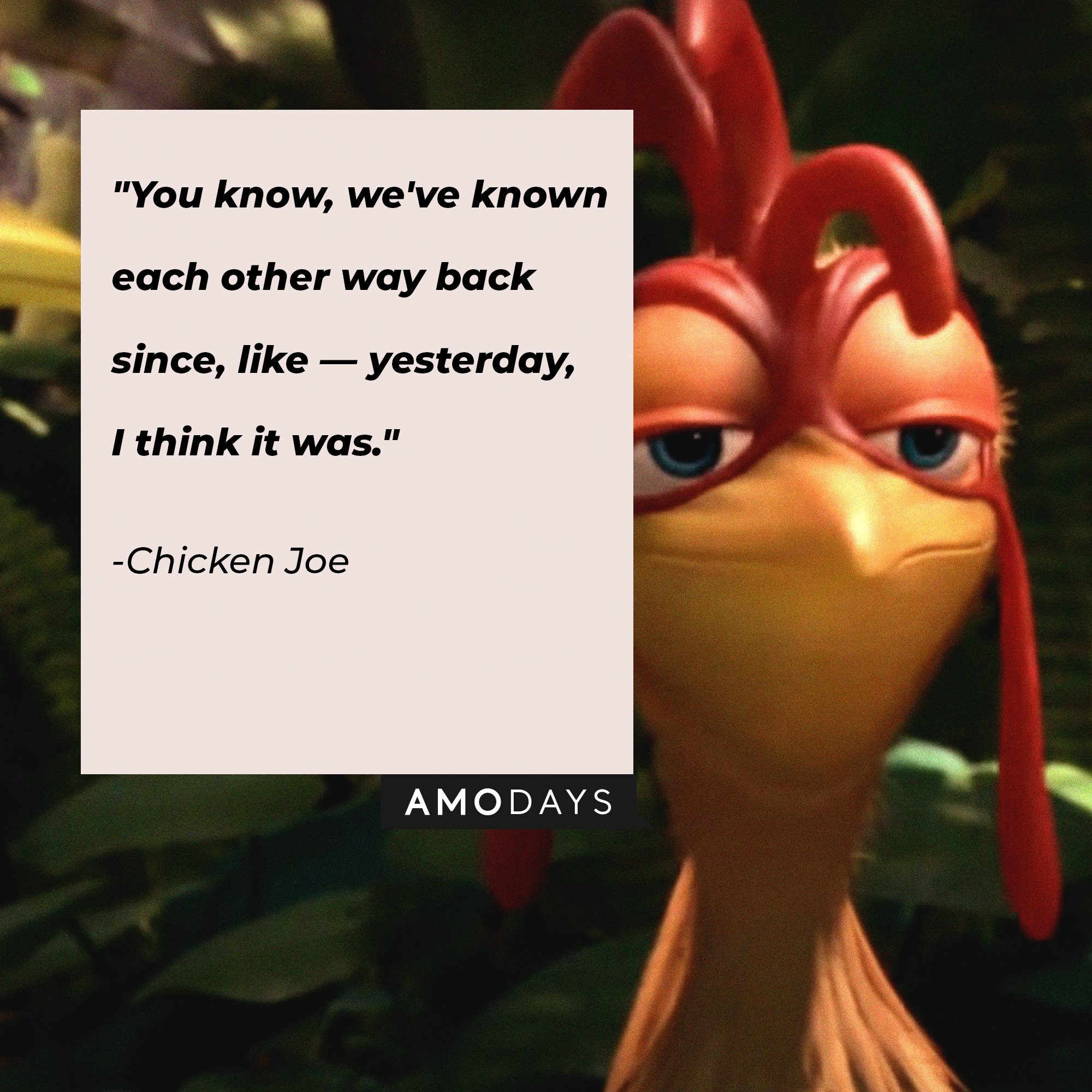 Chicken Joe's quote: "You know, we've known each other way back since, like — yesterday, I think it was.” | Image: AmoDays